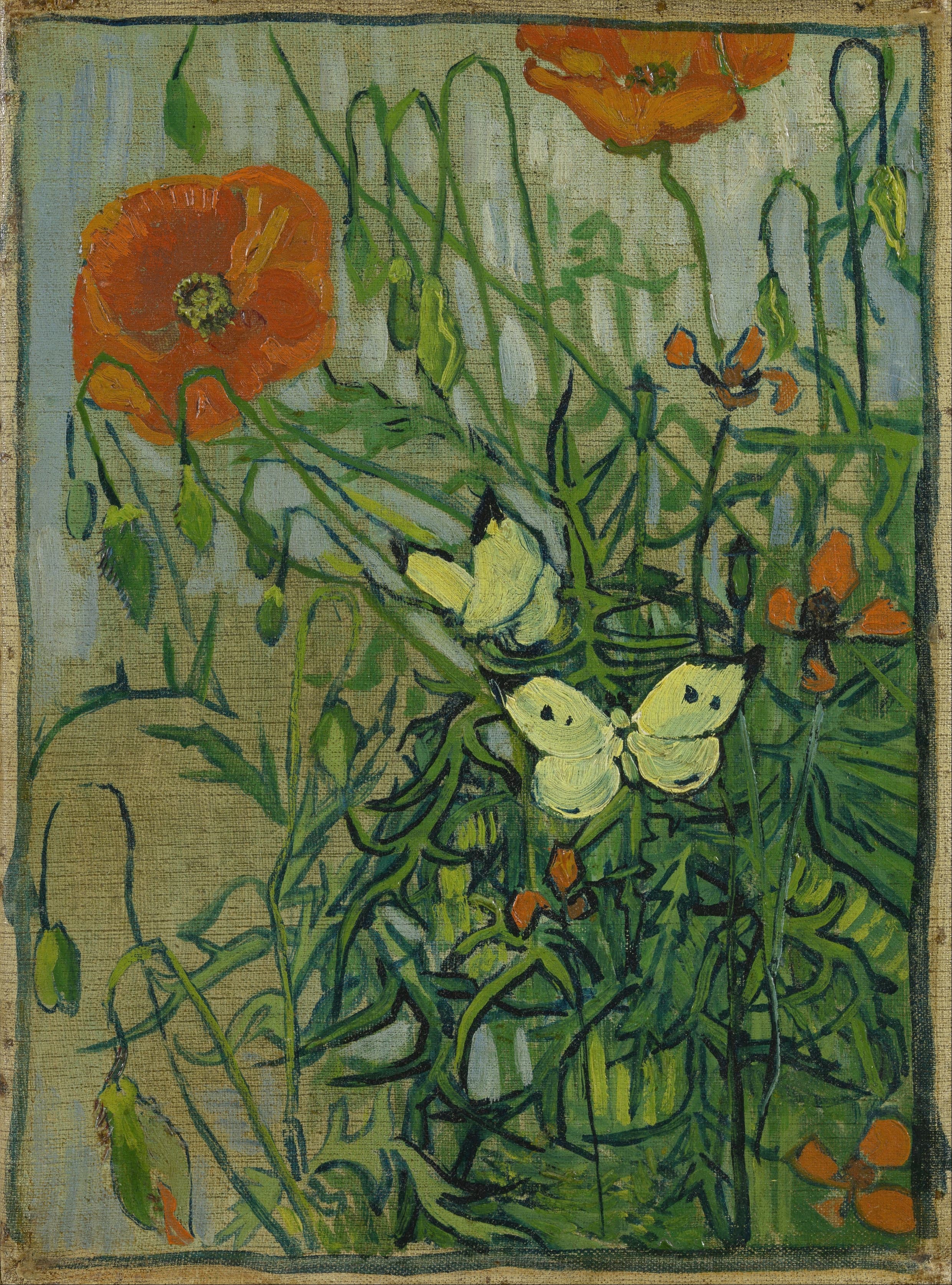 《蝴蝶和罂粟》（Butterflies And Poppies）｜文森特·梵高 Vincent van Gogh｜1890
