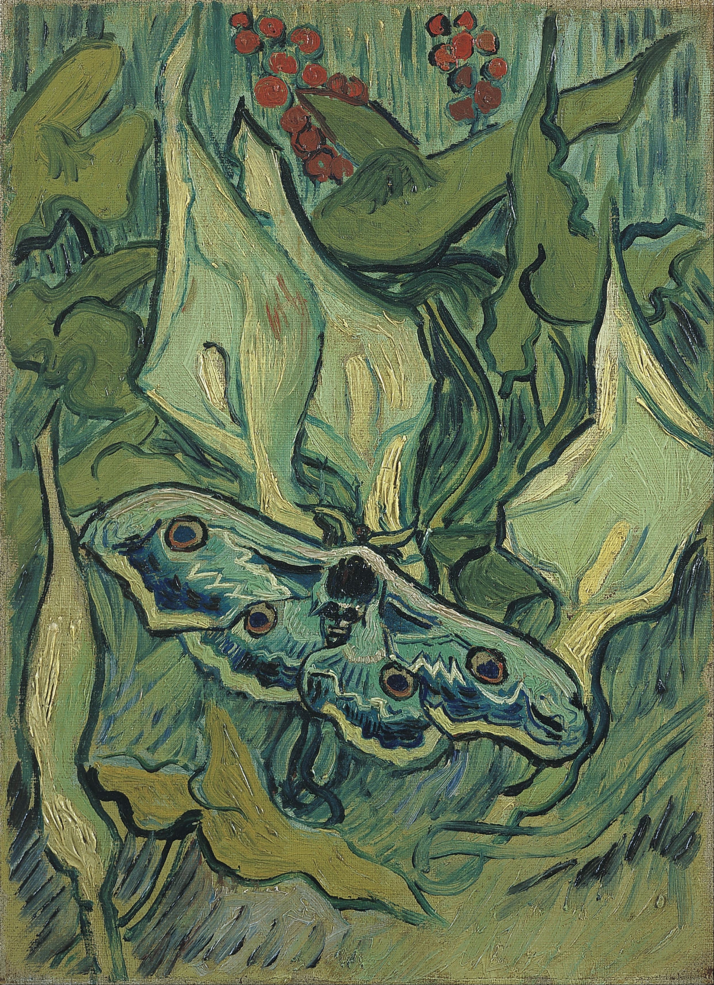 《天蚕蛾》（Emperor Moth）｜文森特·梵高 Vincent van Gogh｜1889