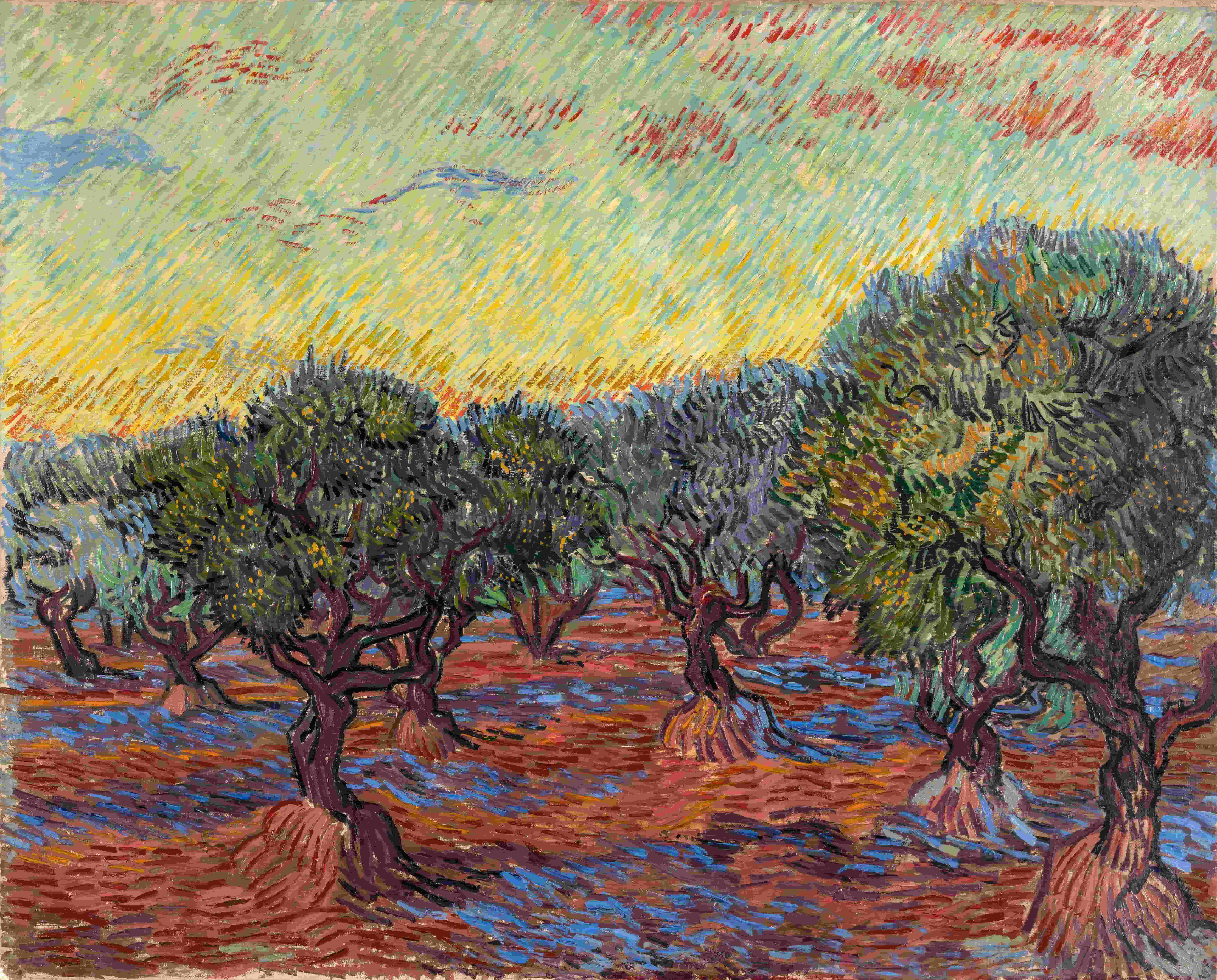 《圣雷米的橄榄园》（Olive Grove at Saint-Rémy）｜文森特·梵高 Vincent van Gogh｜1889