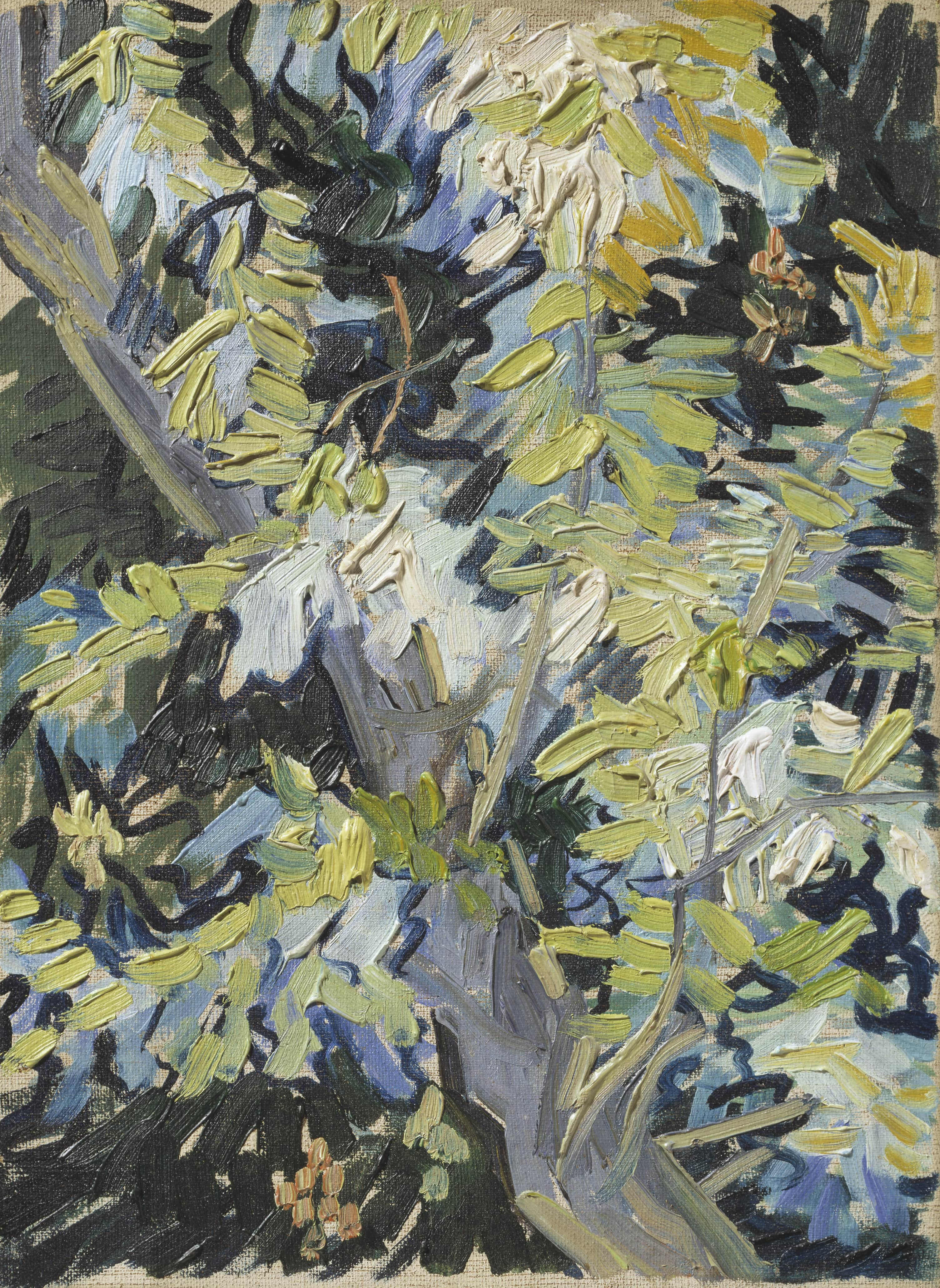 《盛开的金合欢》（Acacia in Bloom）｜文森特·梵高 Vincent van Gogh｜1890