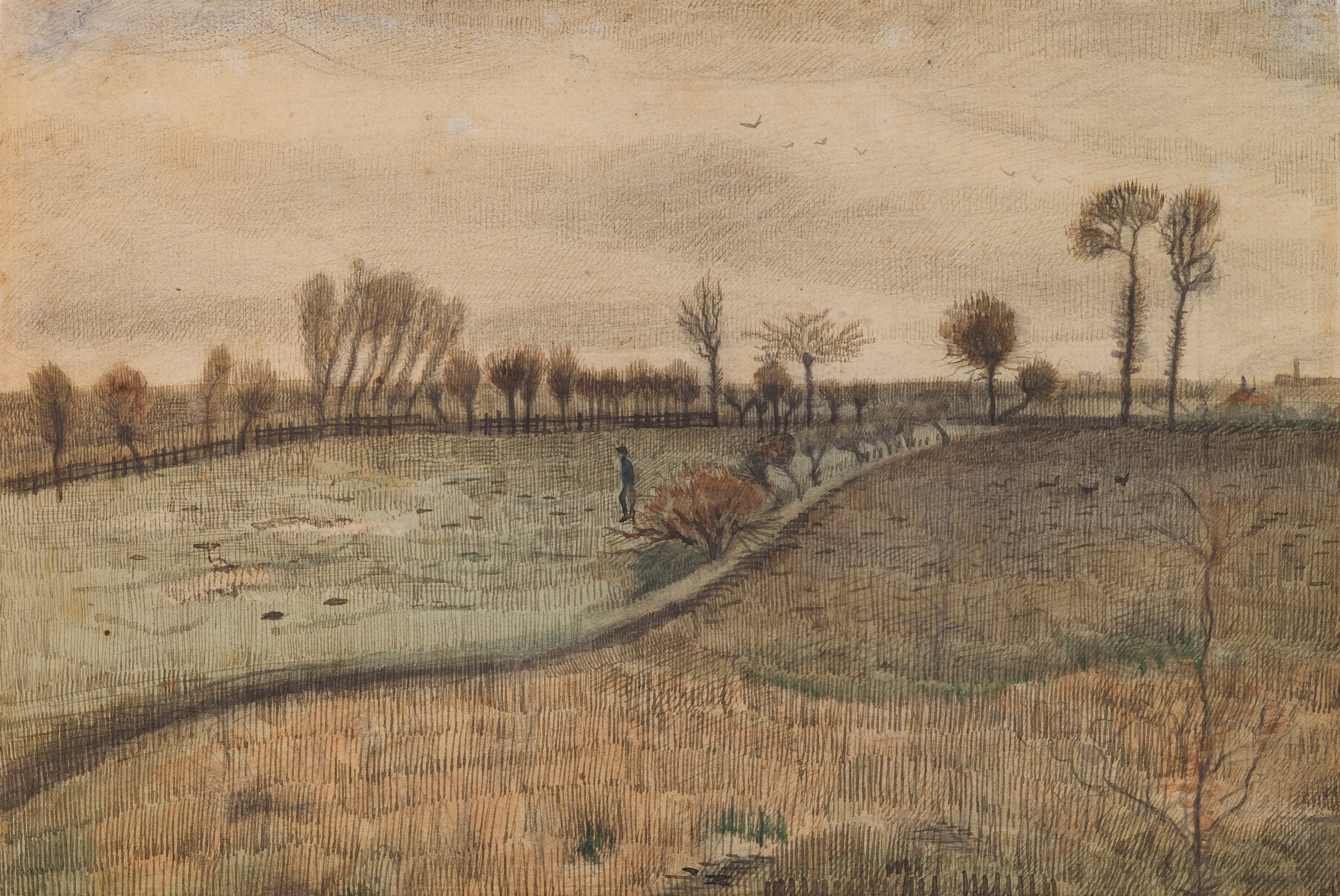 《风景与波拉德柳树》（Landscape with Pollard Willows）｜文森特·梵高 Vincent van Gogh｜1888
