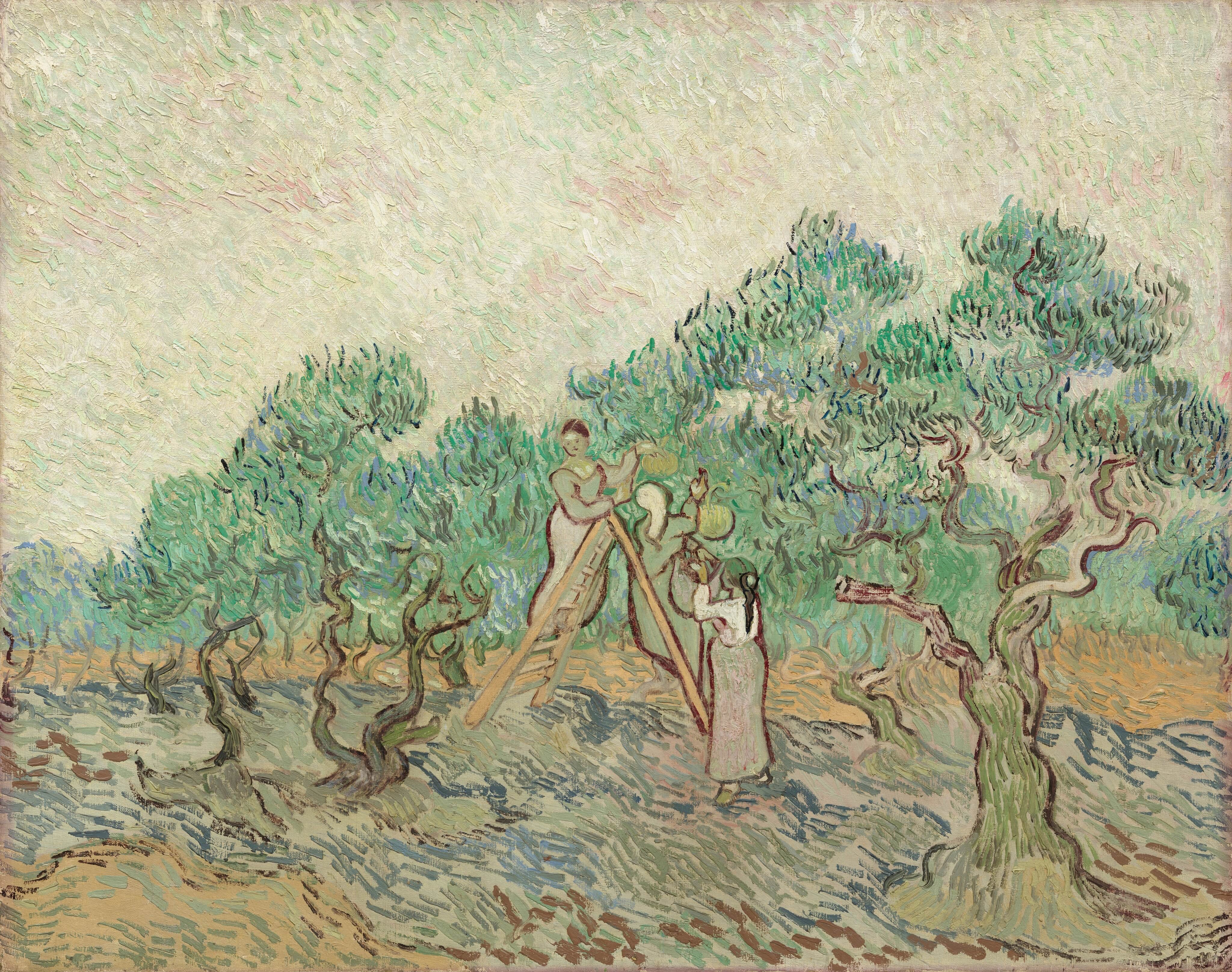 《橄榄园》（The Olive Orchard）｜文森特·梵高 Vincent van Gogh｜1889