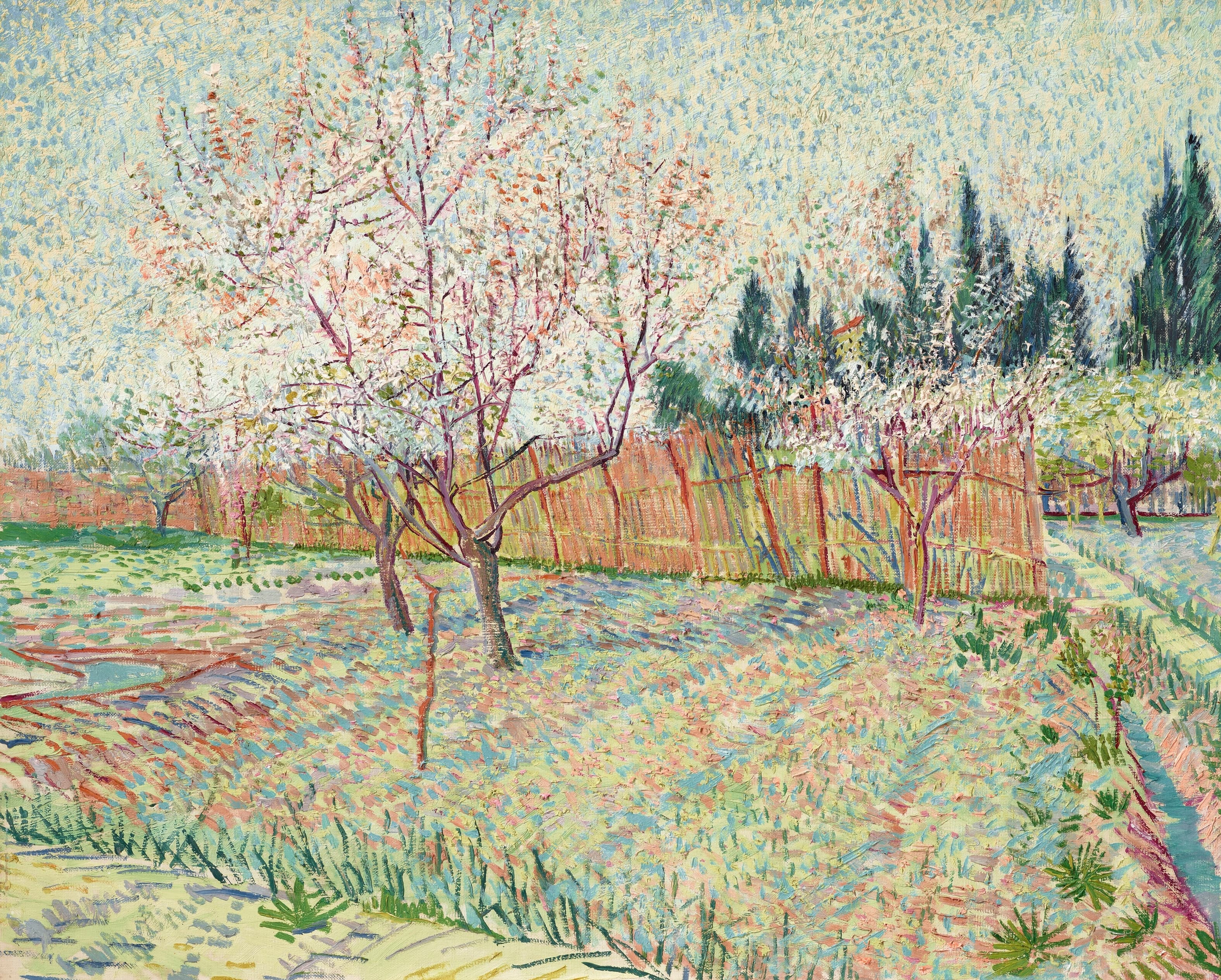 《果园与柏树》（Orchard with Cypress）｜文森特·梵高 Vincent van Gogh｜1888