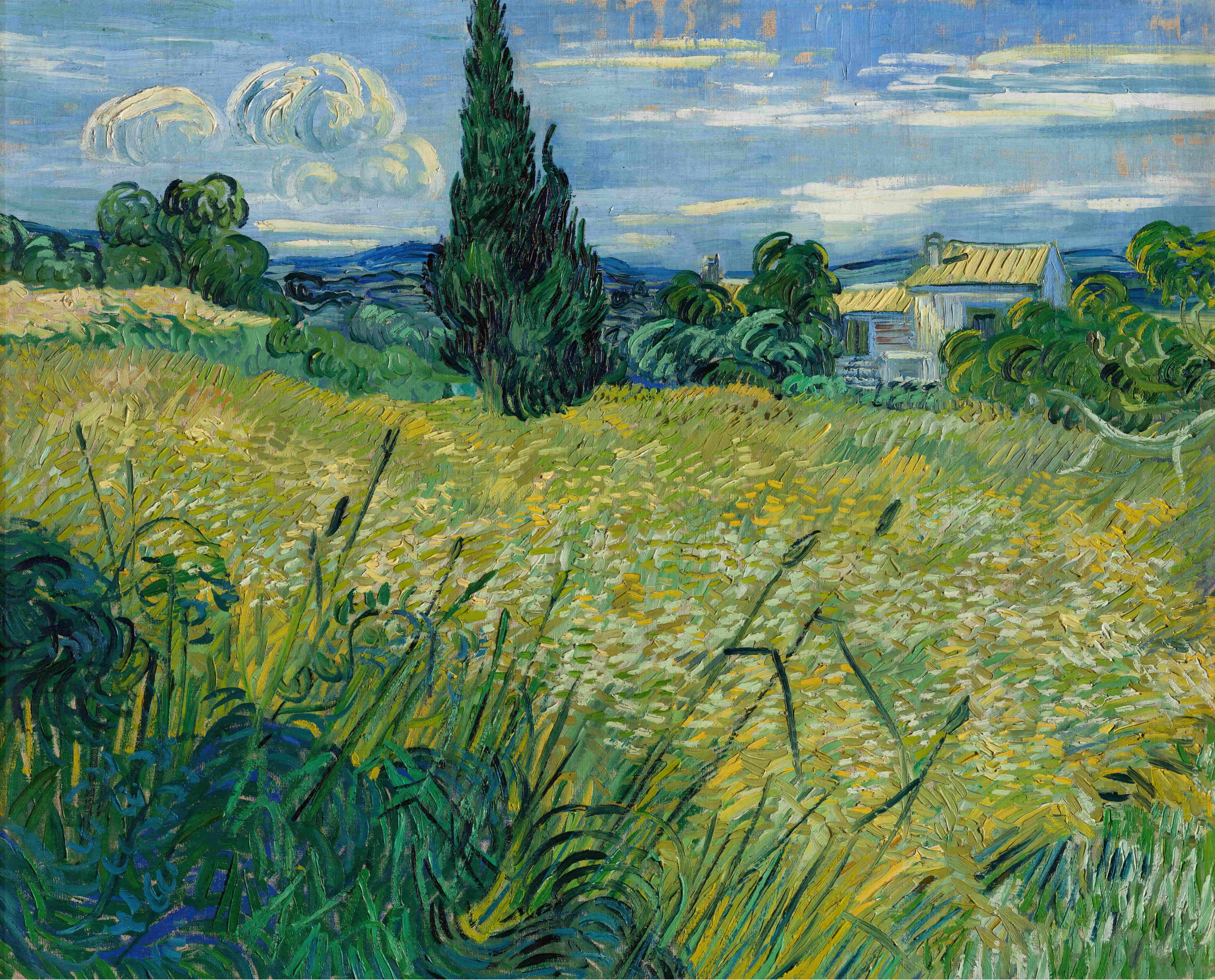 《绿色麦田与柏树》（Green Wheat Field with Cypress）｜文森特·梵高 Vincent van Gogh｜1890
