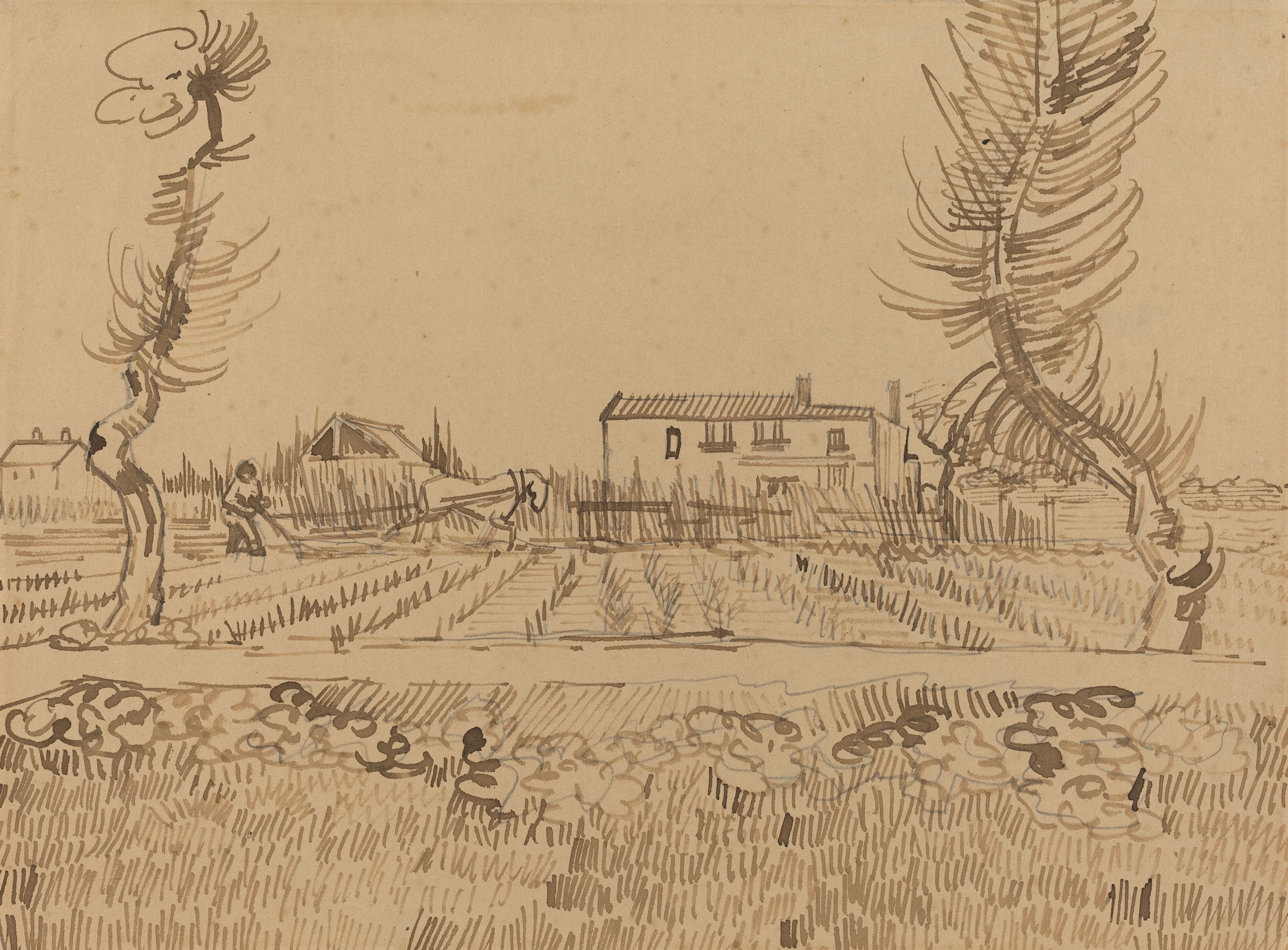 《农舍与两棵树的风景》（Landscape with a Farm and Two Trees）｜文森特·梵高 Vincent van Gogh｜1888