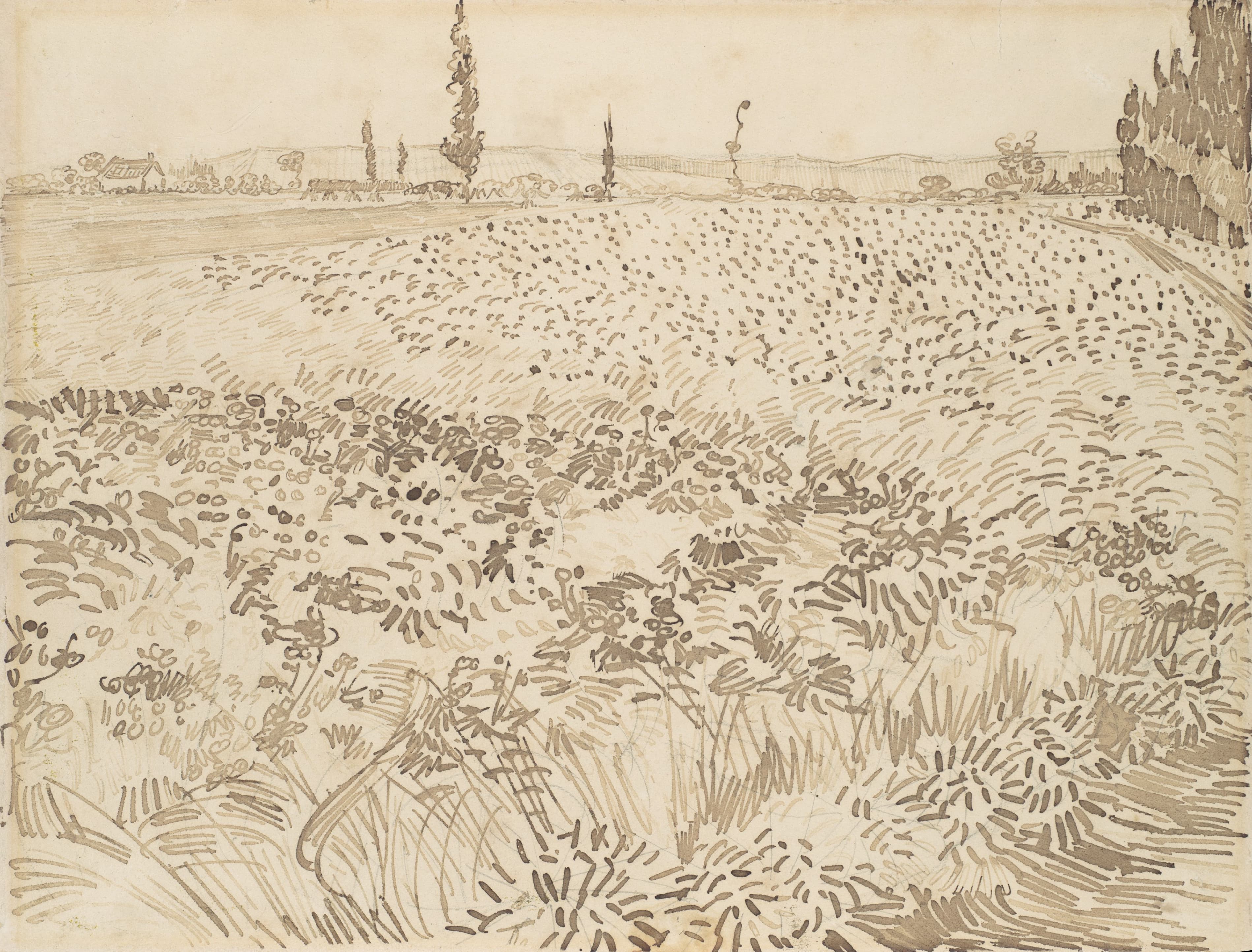 《麦田》（Wheat Field）｜文森特·梵高 Vincent van Gogh｜1888