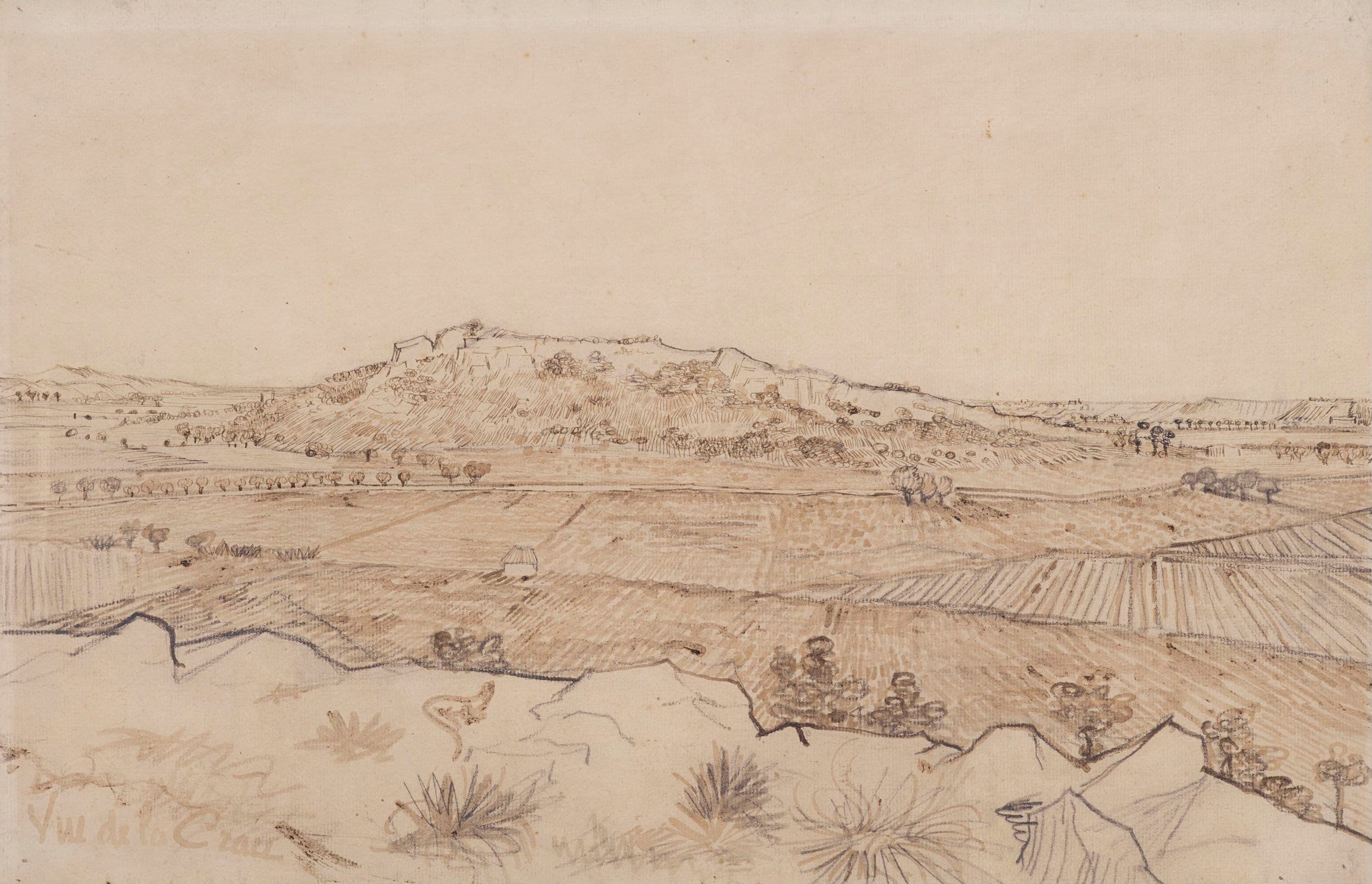 《拉克劳平原》（The Plain of La Crau）｜文森特·梵高 Vincent van Gogh｜1888