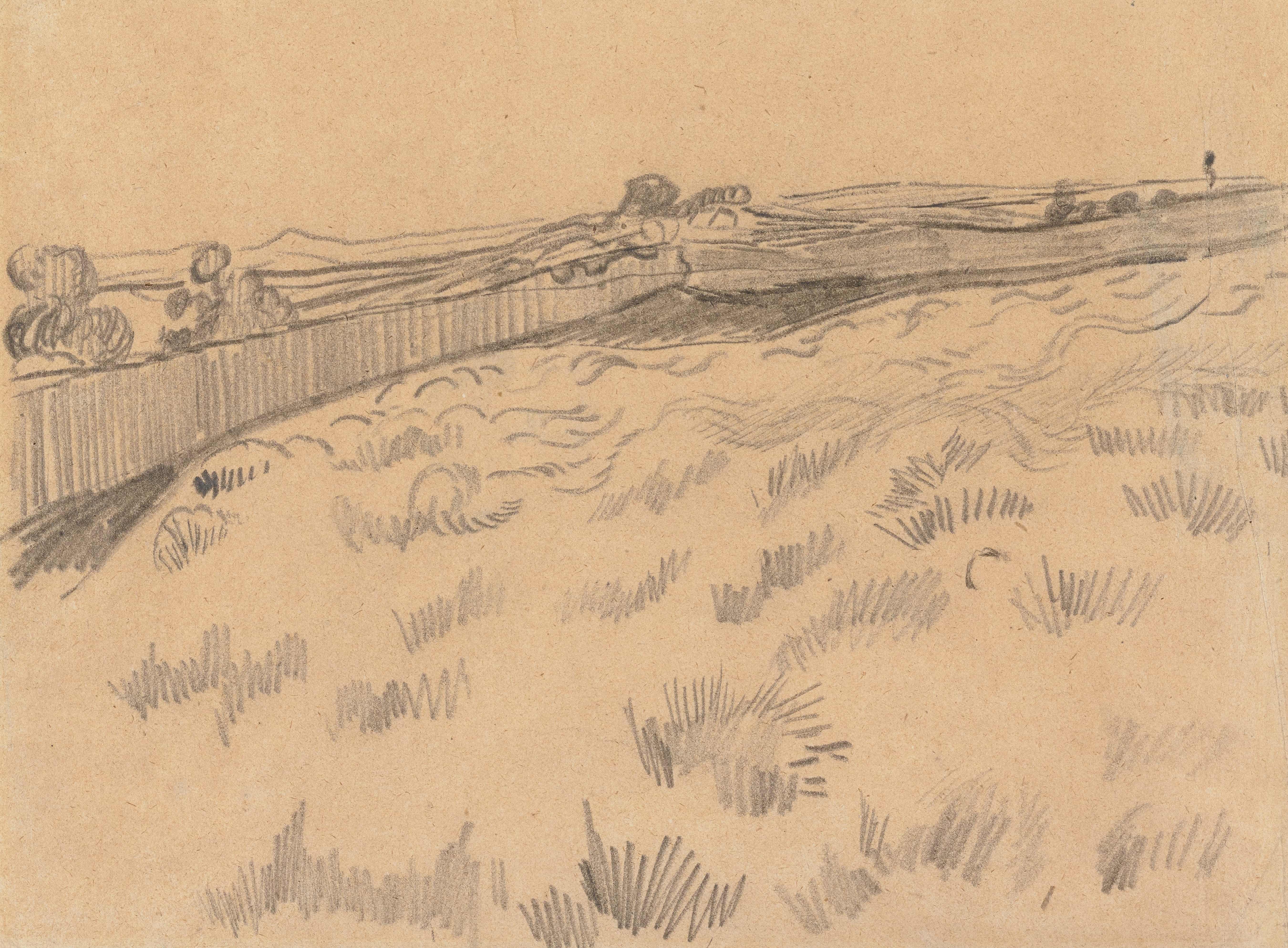 《圣雷米圣保罗疗养院后的田野》（View of the Field behind Saint-Paul Asylum, Saint-Rémy）｜文森特·梵高 Vincent van Gogh｜1889