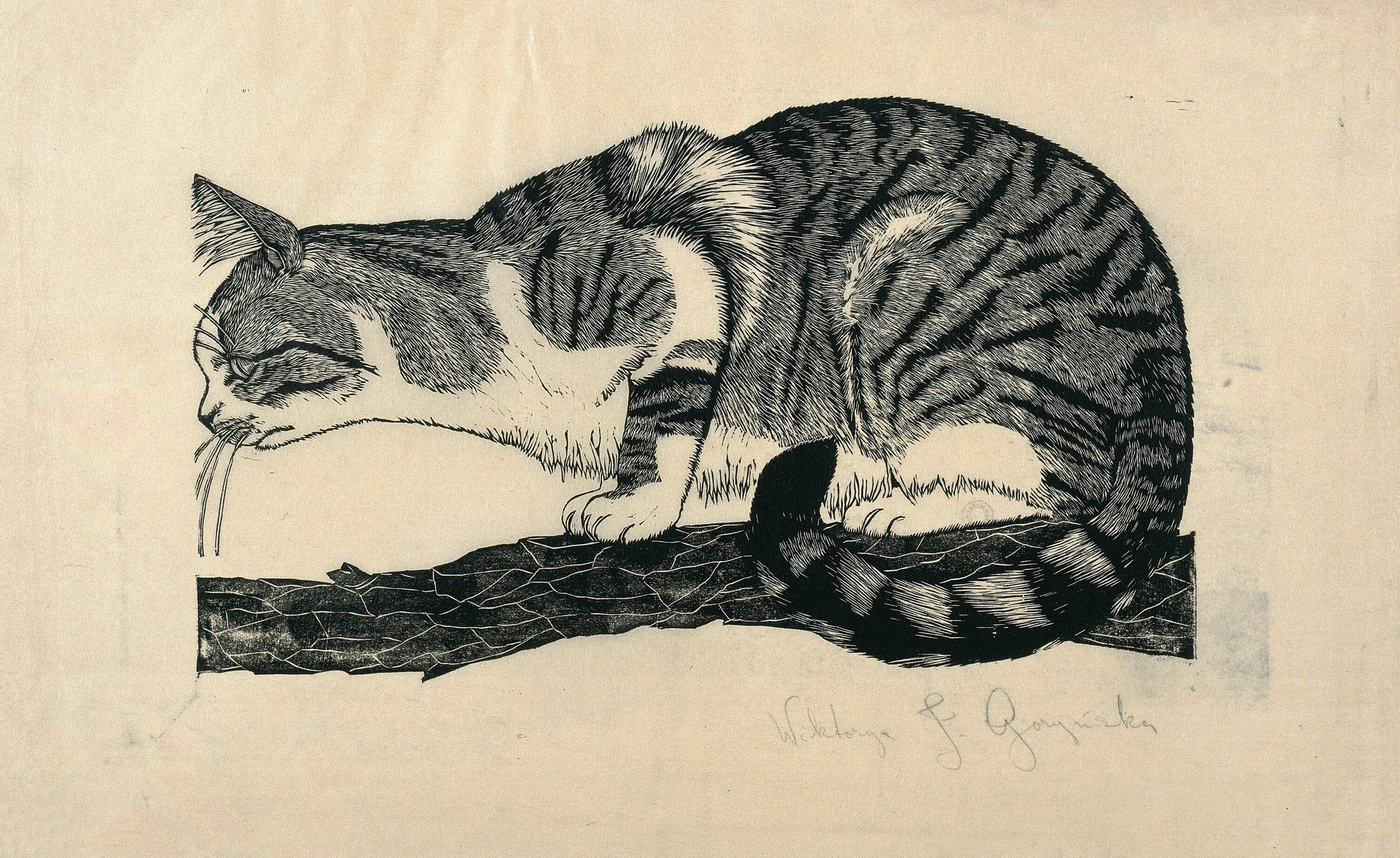 《树枝上的猫》（Cat on a Branch）｜维克托里娅·戈林斯卡 Wiktoria Goryńska｜1927
