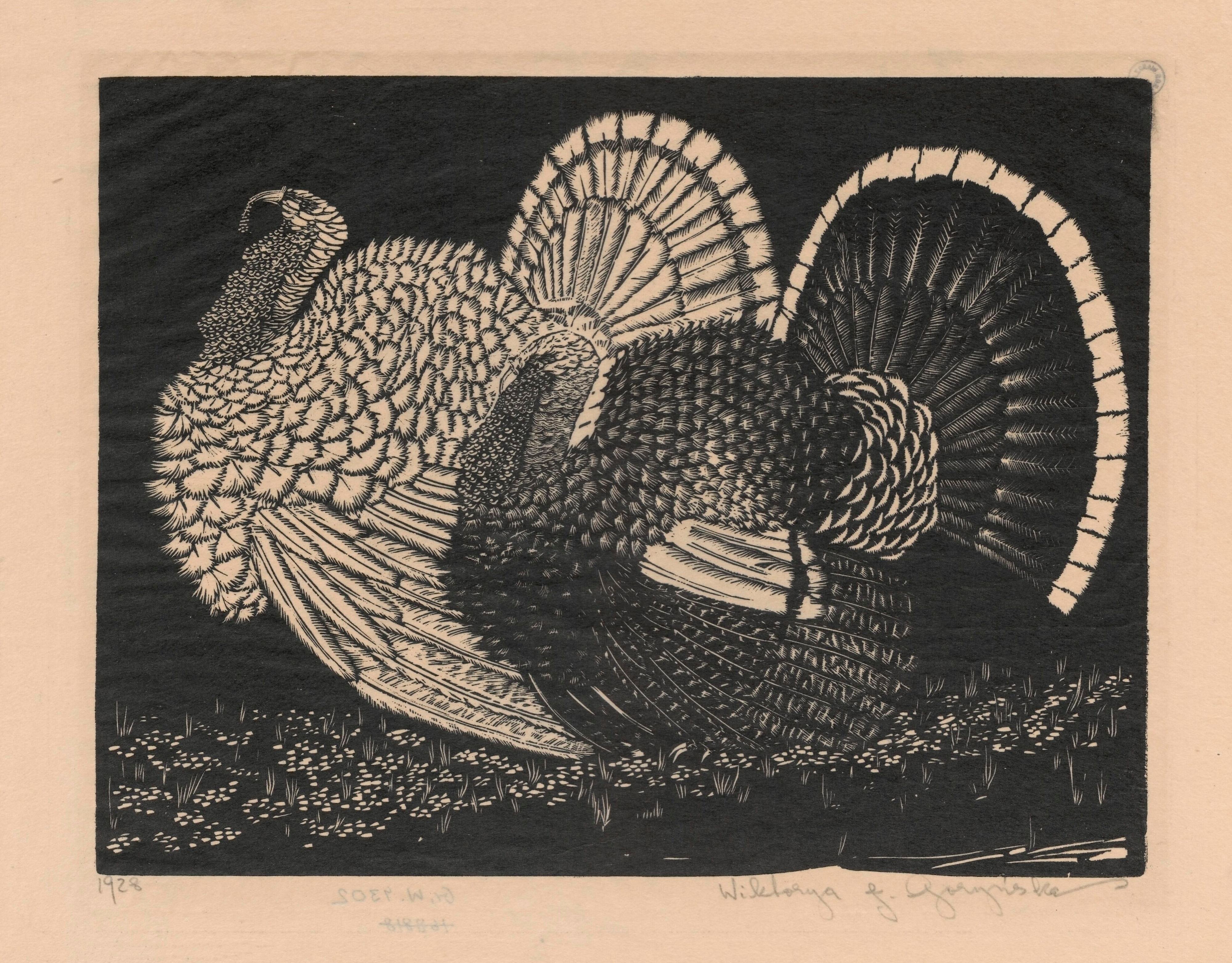 《火鸡》（Turkeys）｜维克托里娅·戈林斯卡 Wiktoria Goryńska｜1928