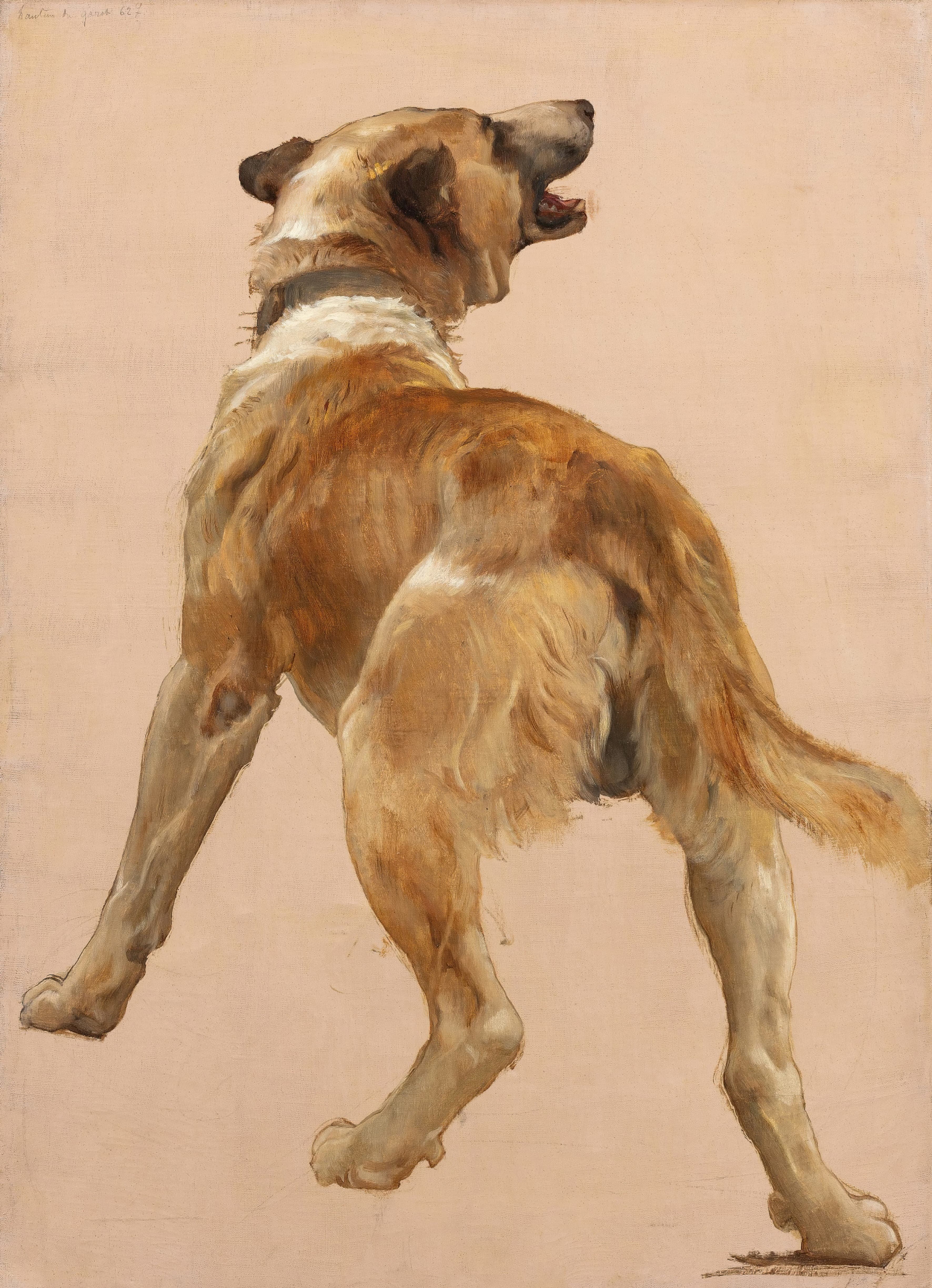 《《荷马与向导》中的犬习作》（Study of the dog of homѐre et son guide）｜威廉-阿道夫·布格罗 William-Adolphe Bouguereau｜不明