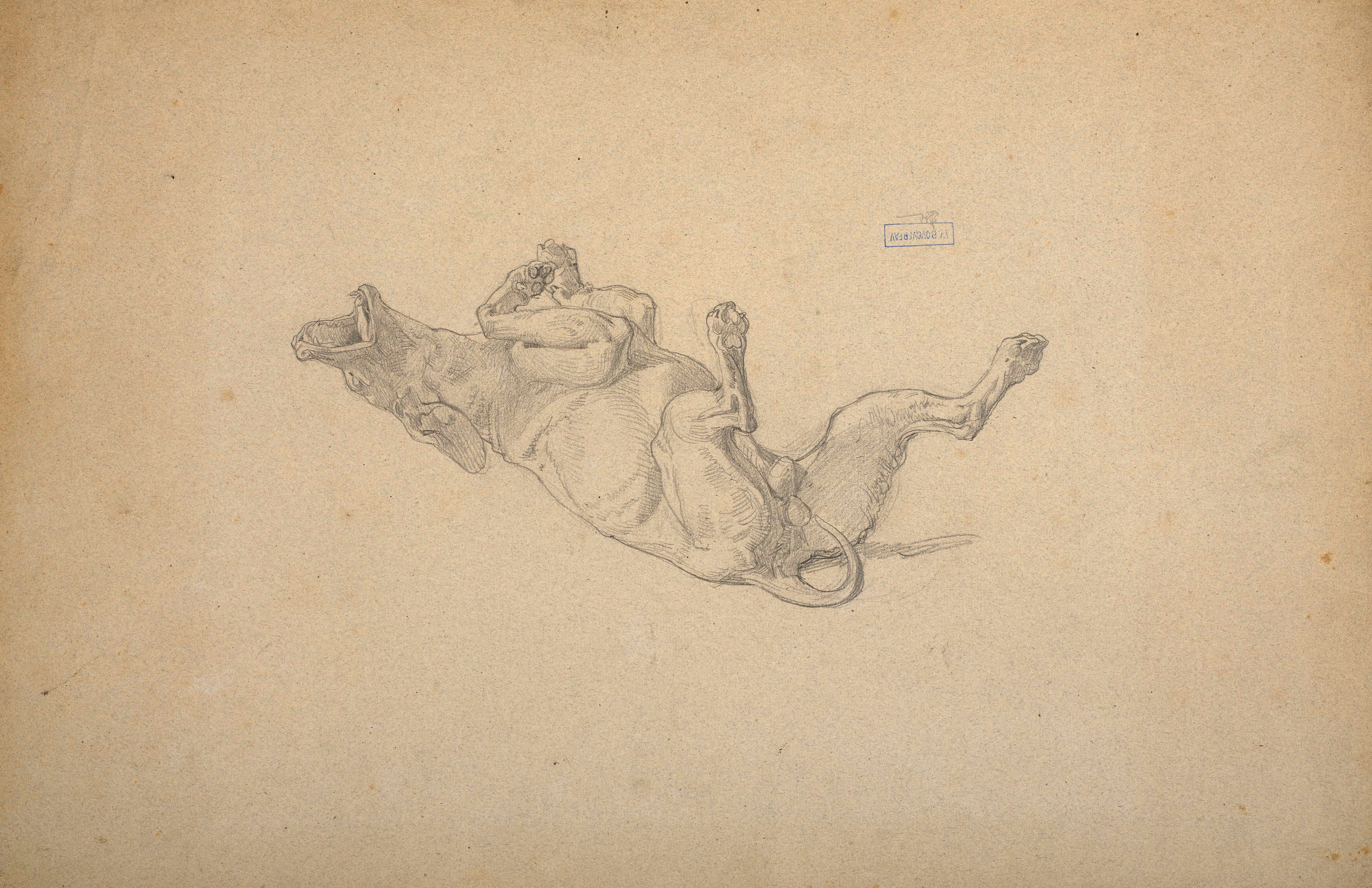 《犬习作》（Study of dog）｜威廉-阿道夫·布格罗 William-Adolphe Bouguereau｜不明