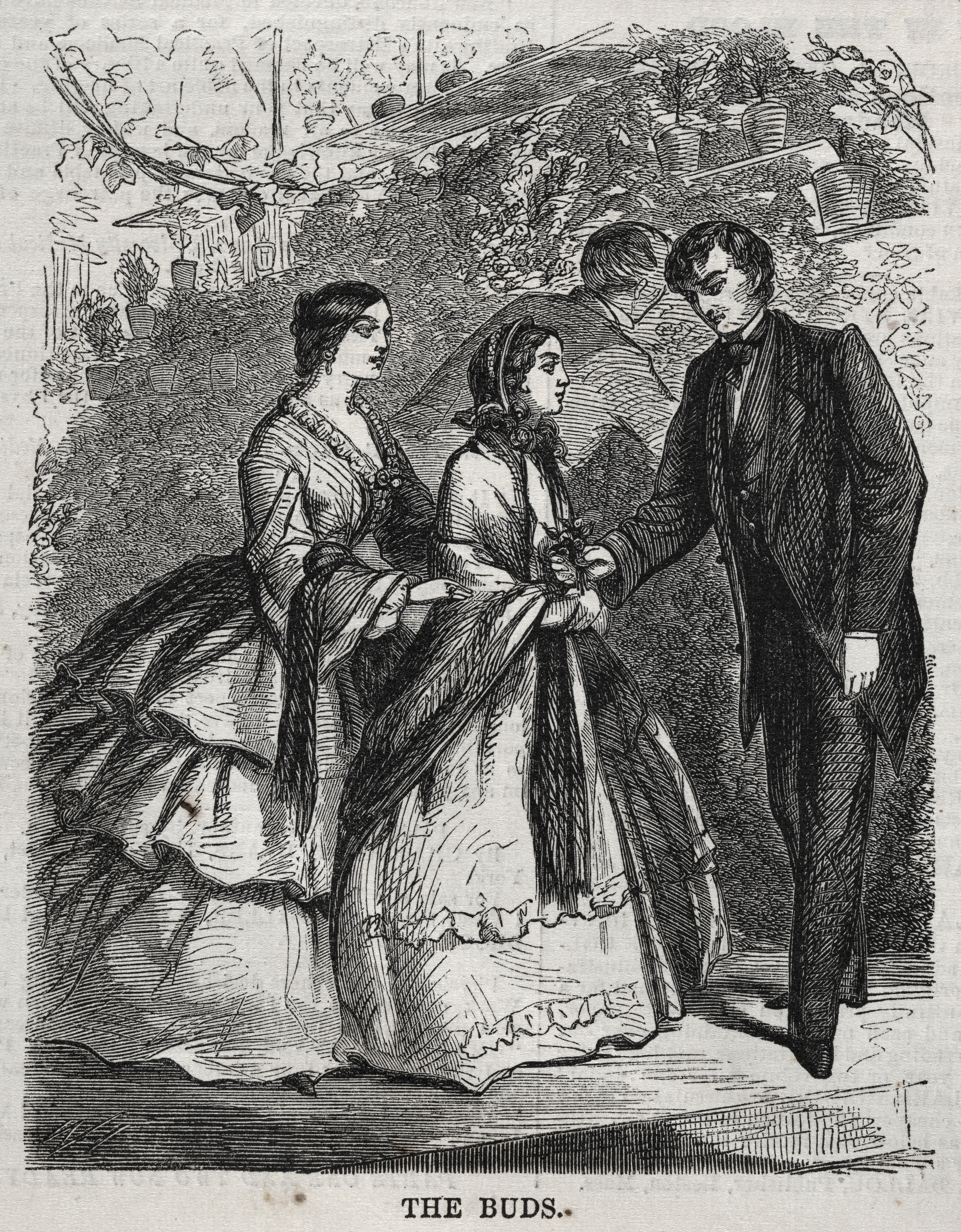 《芽》（the buds）｜温斯洛·霍默 Winslow Homer｜1860