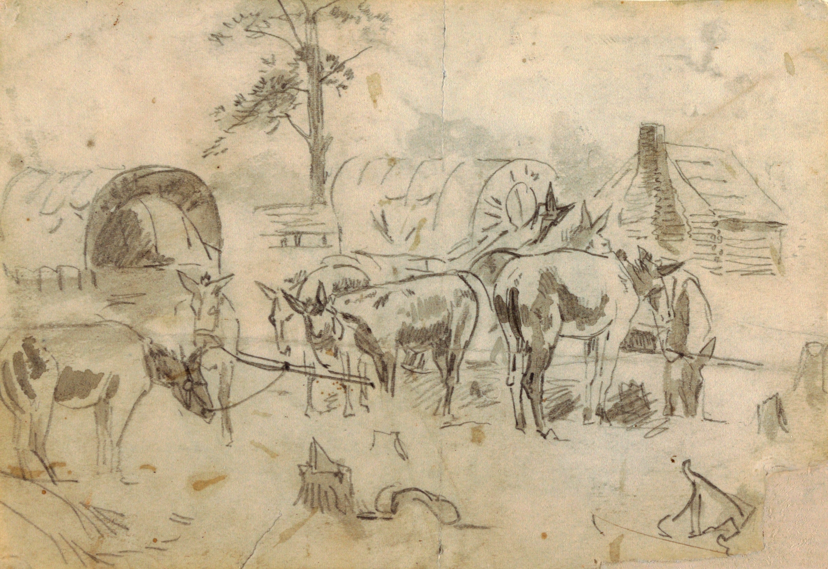 《拴在马车上休息的骡子》（resting mules tethered to wagons）｜温斯洛·霍默 Winslow Homer｜1862