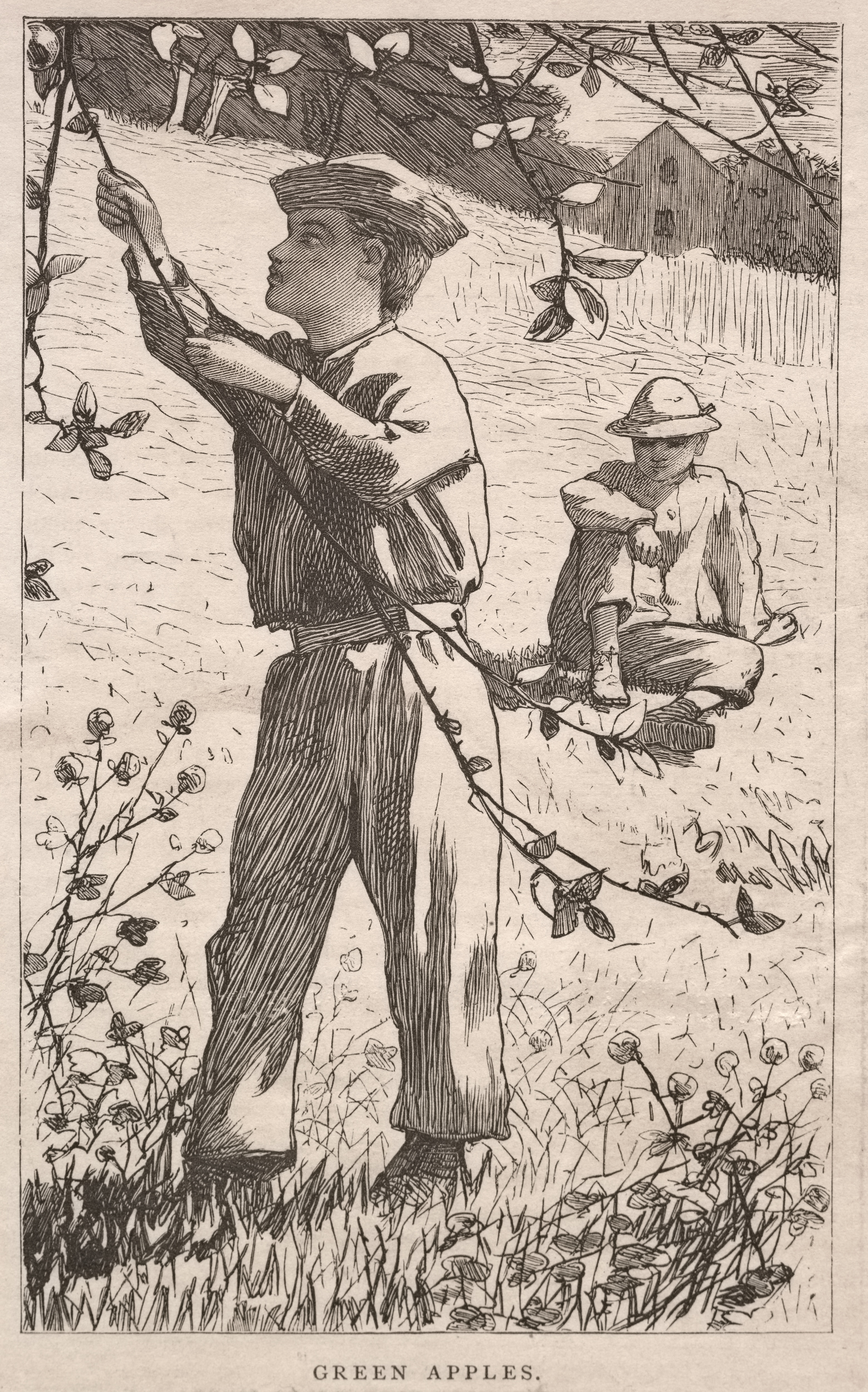 《青苹果》（green apples）｜温斯洛·霍默 Winslow Homer｜1868