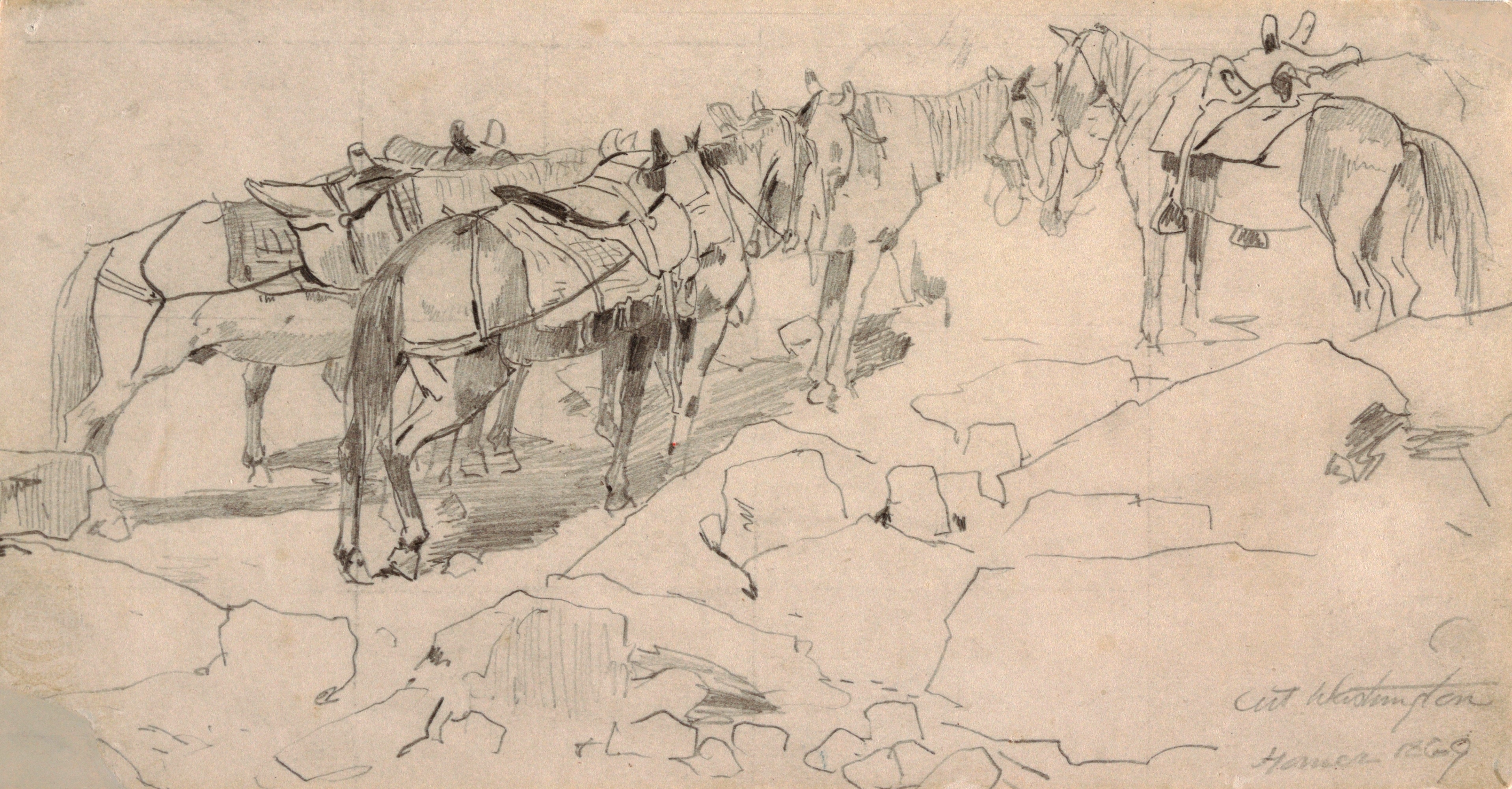 《华盛顿山山顶》（summit of mt washington）｜温斯洛·霍默 Winslow Homer｜1869