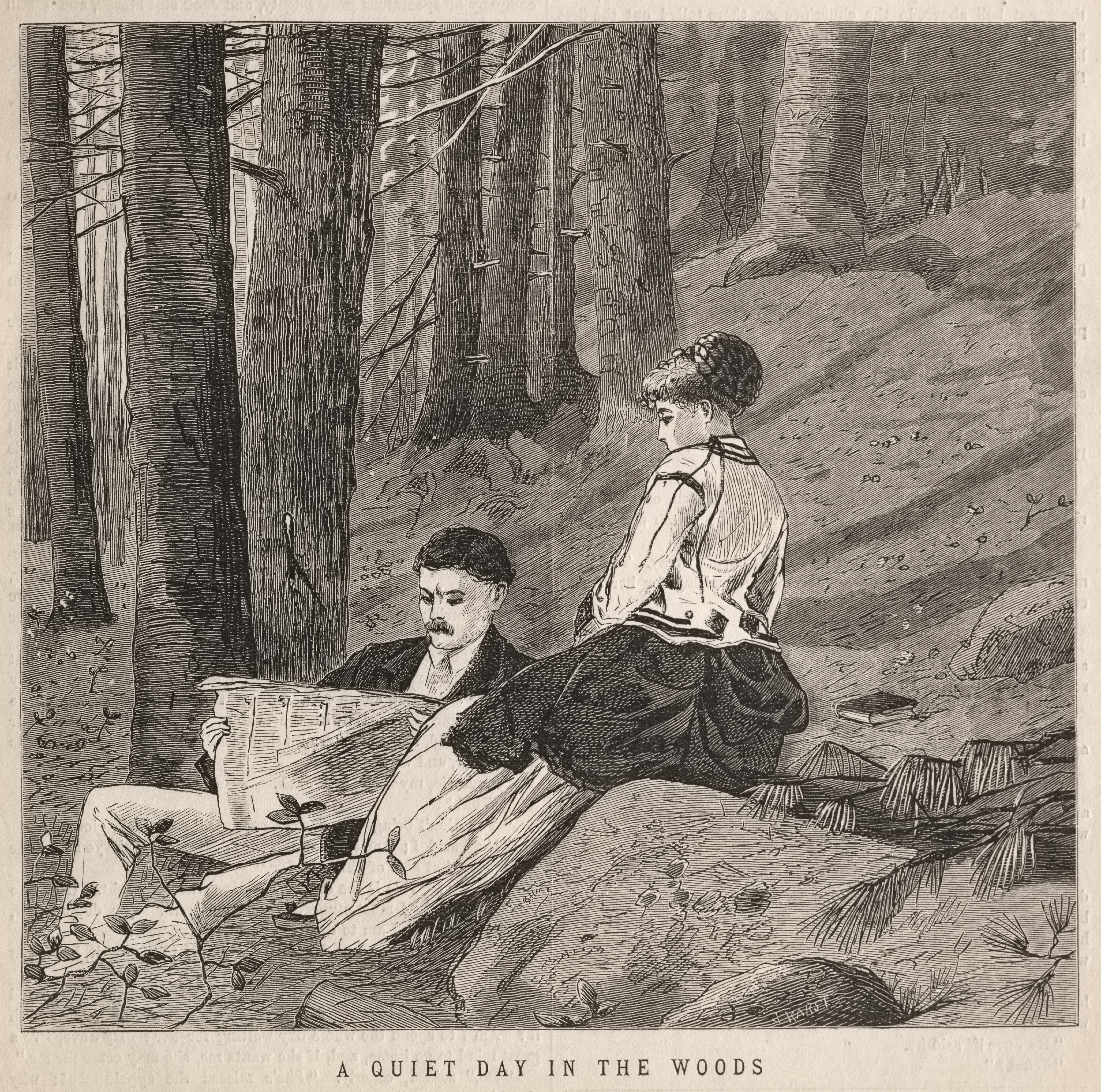 《树林里安静的一天》（a quiet day in the woods）｜温斯洛·霍默 Winslow Homer｜1870