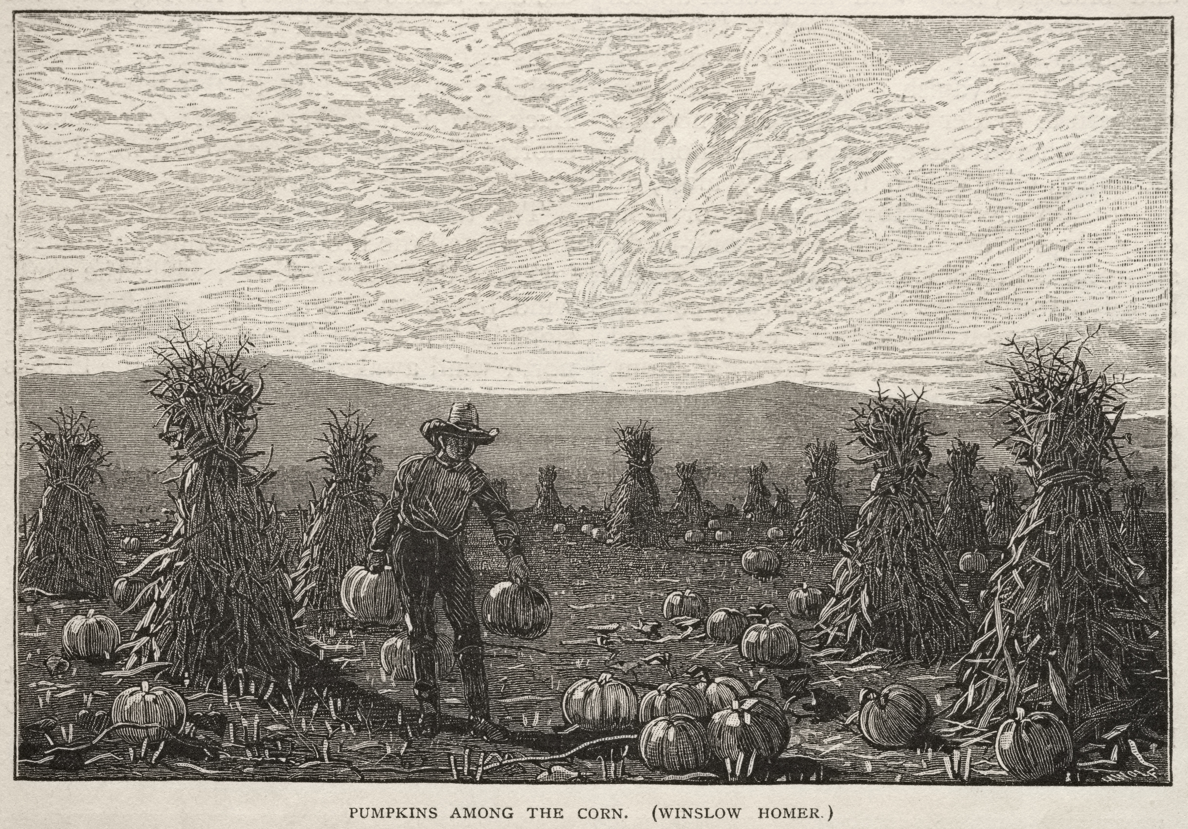 《玉米中间的南瓜》（pumpkins among the corn）｜温斯洛·霍默 Winslow Homer｜1878