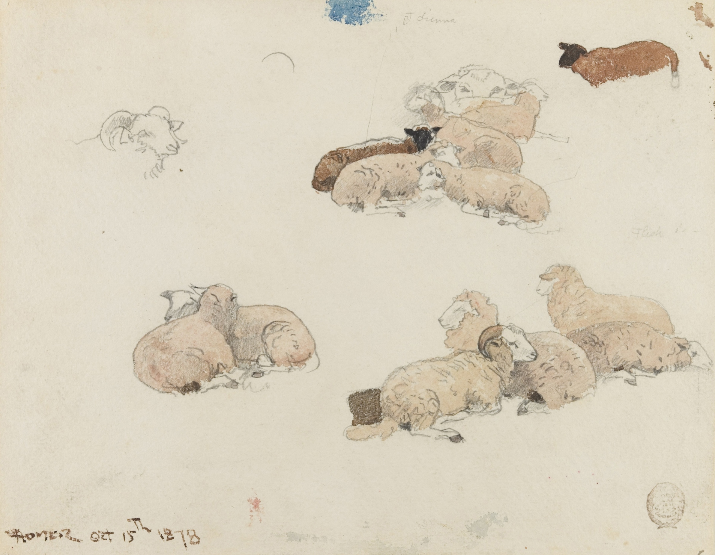 《羊休息》（sheep resting）｜温斯洛·霍默 Winslow Homer｜1878
