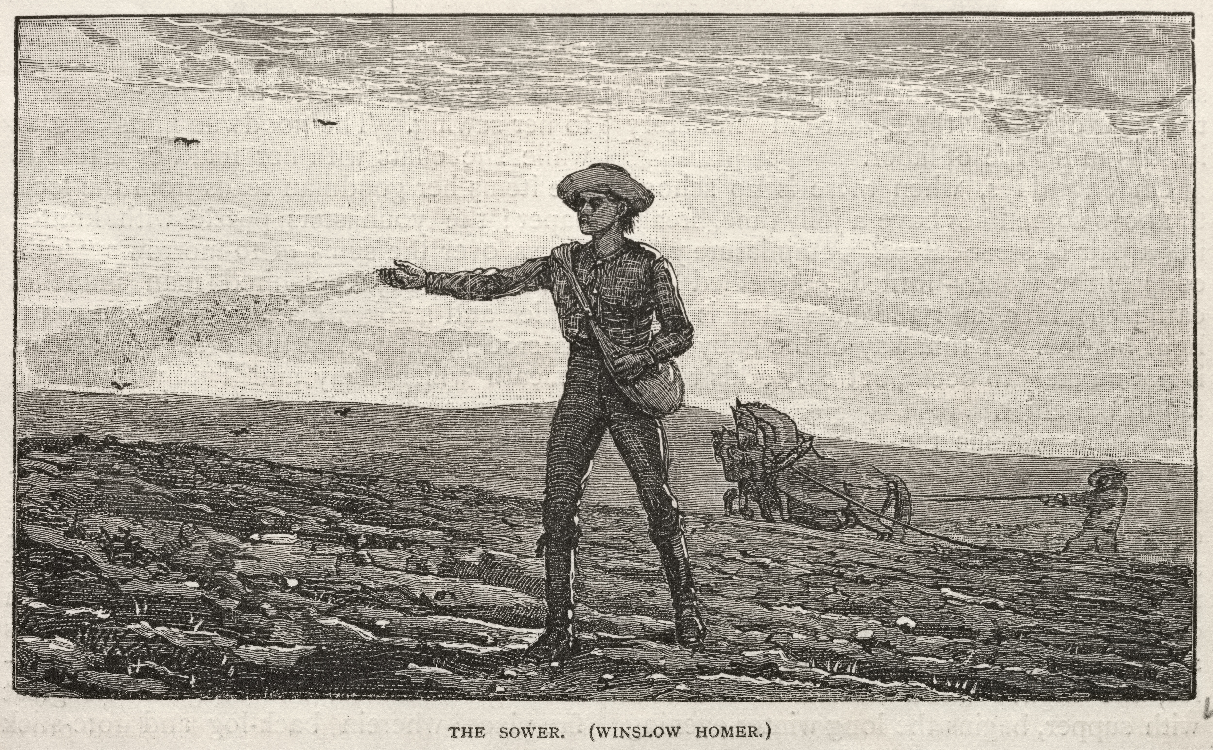 《播种者》（the sower）｜温斯洛·霍默 Winslow Homer｜1878