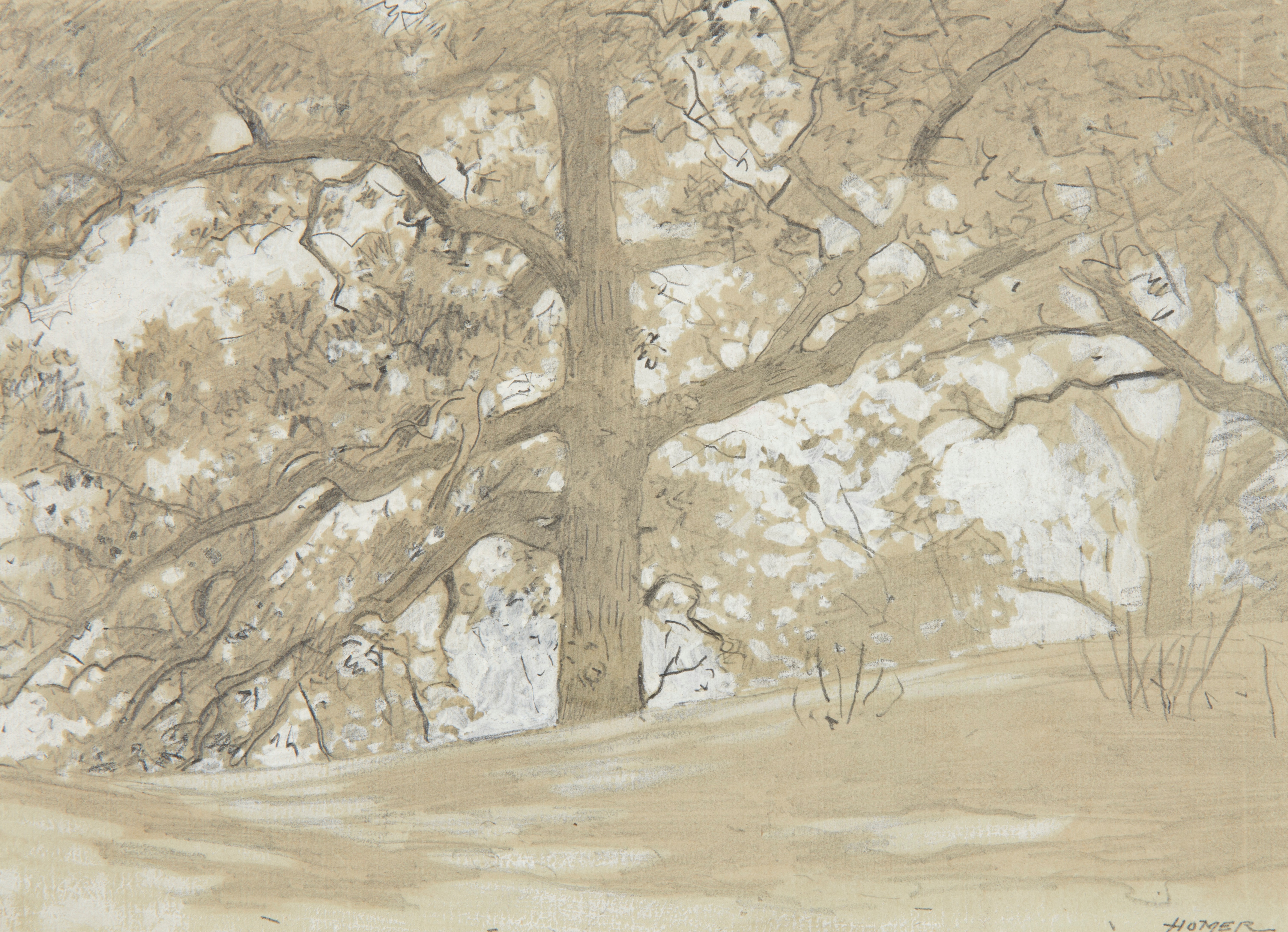 《韦弗利奥克斯》（waverly oaks）｜温斯洛·霍默 Winslow Homer｜1878