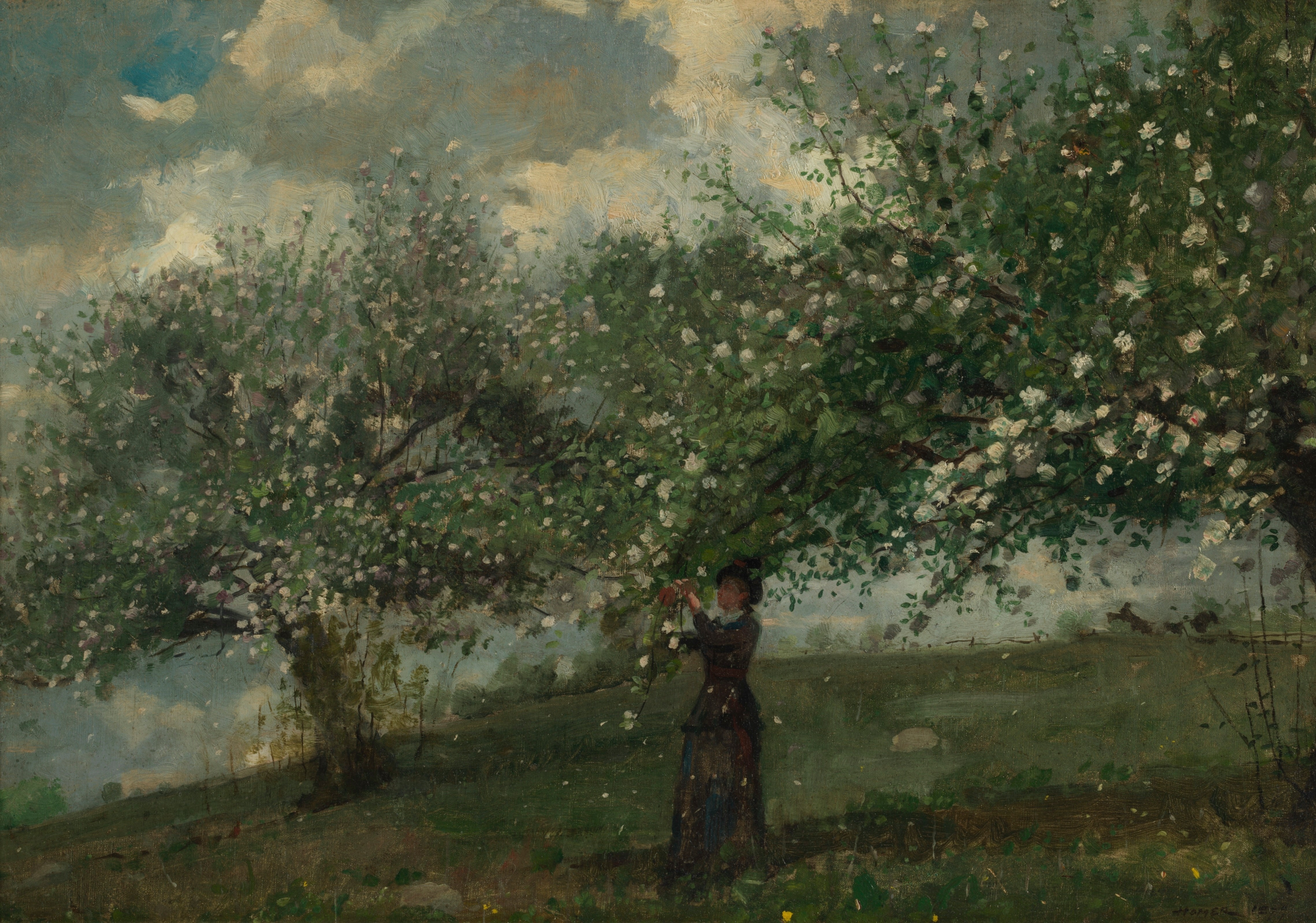 《摘苹果花的女孩》（girl picking apple blossoms）｜温斯洛·霍默 Winslow Homer｜1879