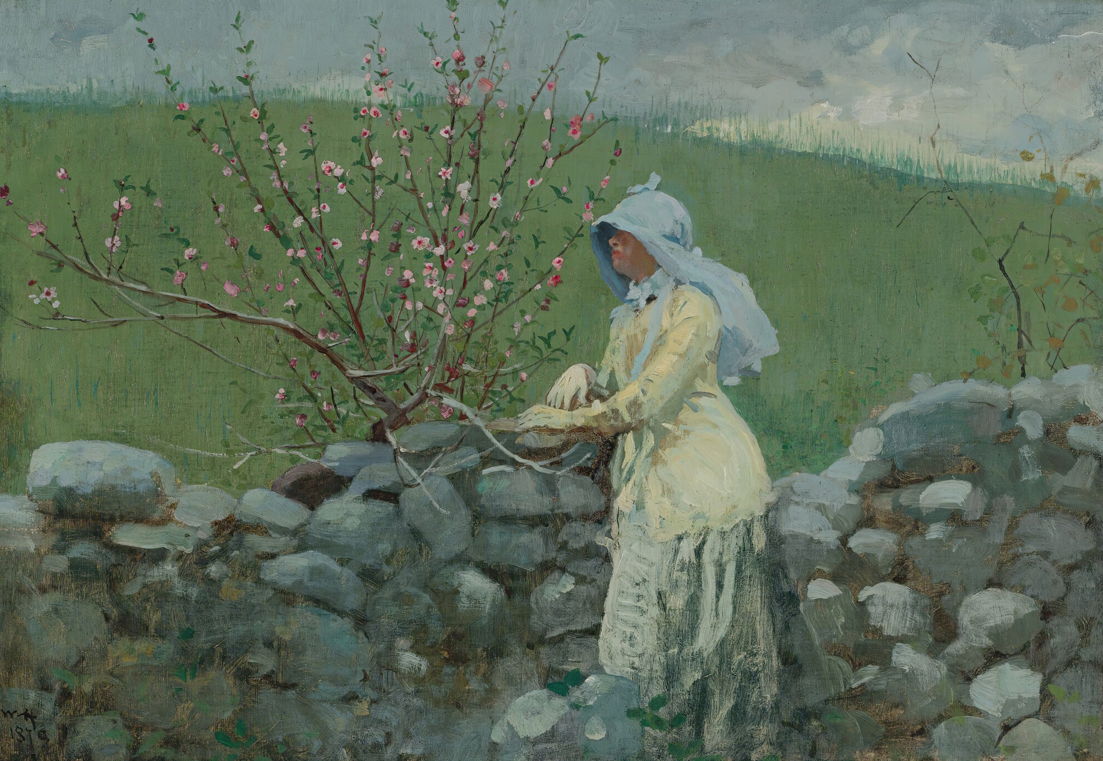《桃花》（peach blossoms）｜温斯洛·霍默 Winslow Homer｜1879