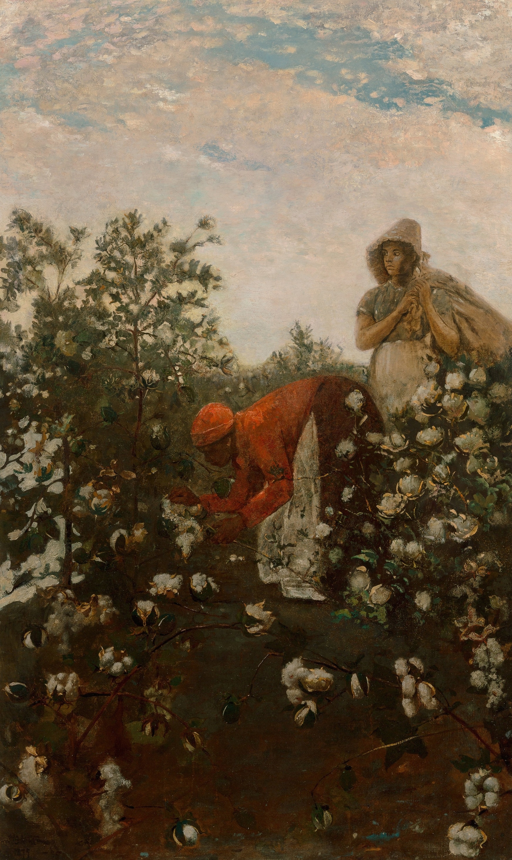 《陆地棉》（upland cotton）｜温斯洛·霍默 Winslow Homer｜1879–1895