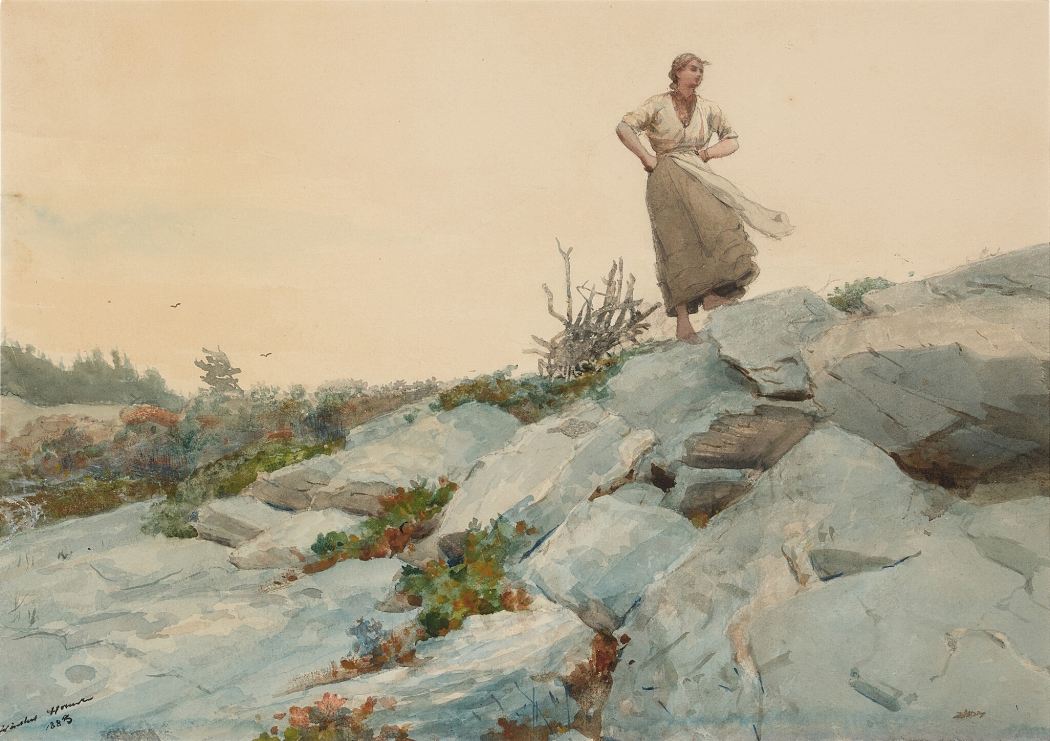 《同性恋收集者》（the faggot gatherer）｜温斯洛·霍默 Winslow Homer｜1883
