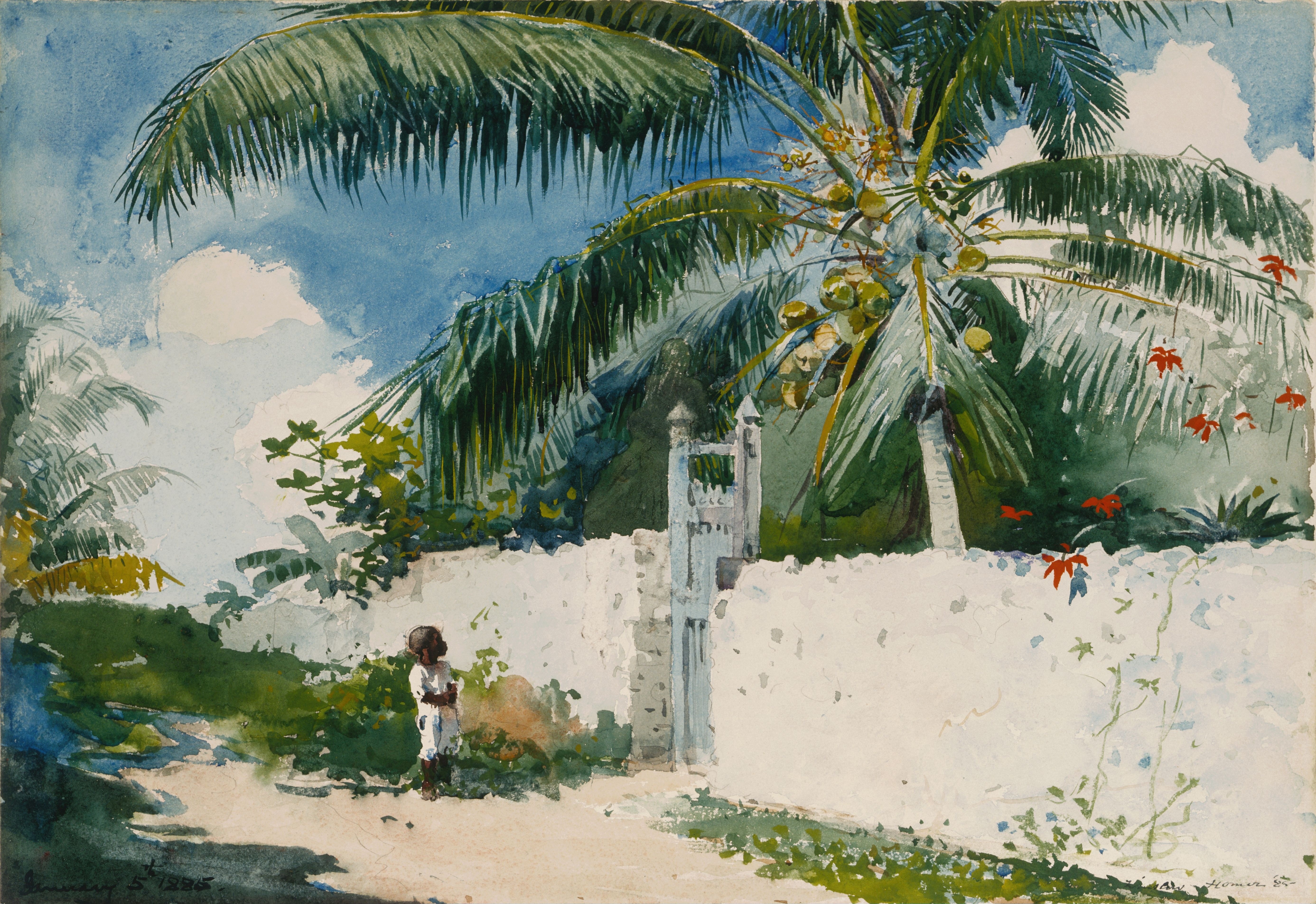《拿骚的一个花园》（a garden in nassau）｜温斯洛·霍默 Winslow Homer｜1885