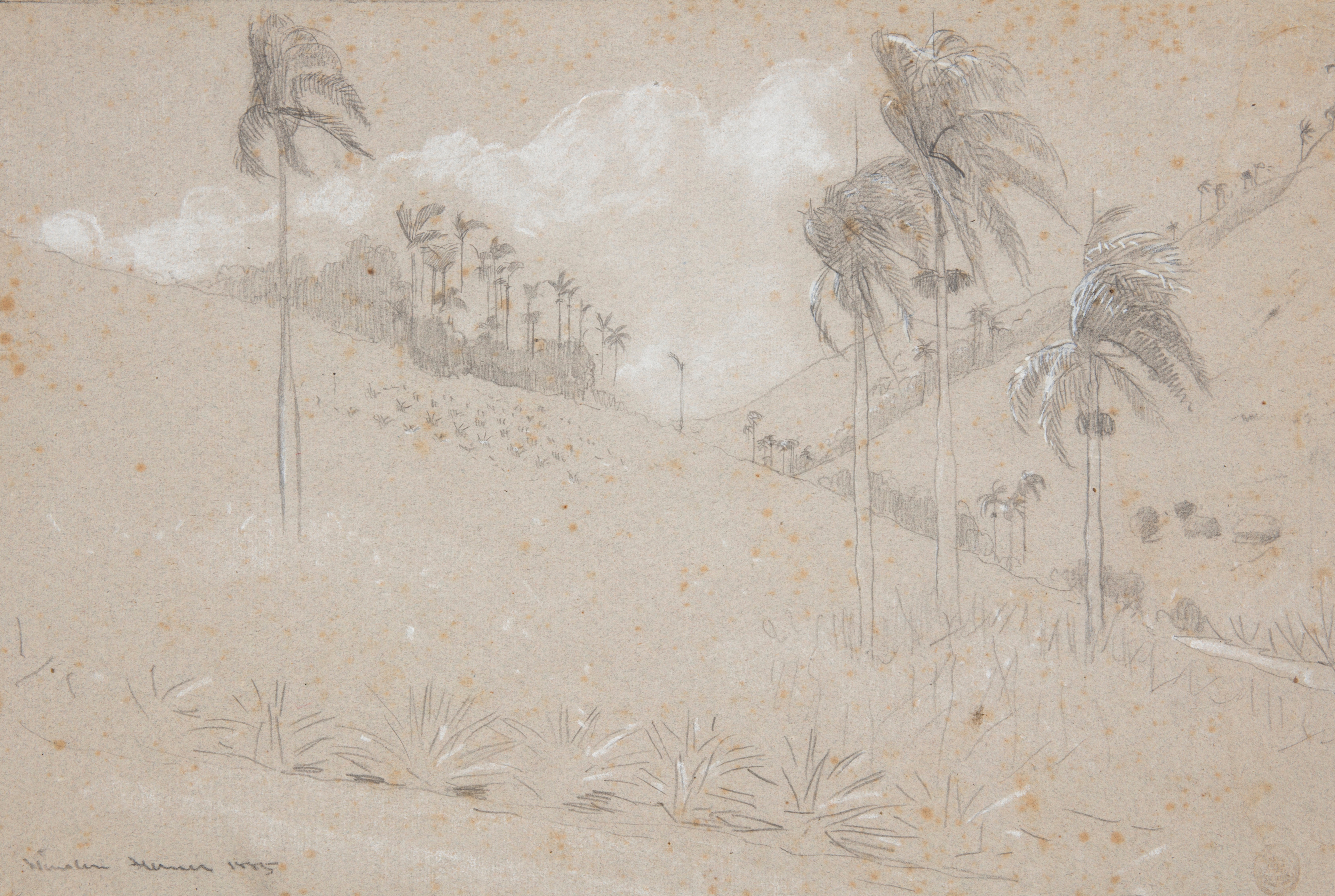 《古巴山坡》（cuban hillside）｜温斯洛·霍默 Winslow Homer｜1885