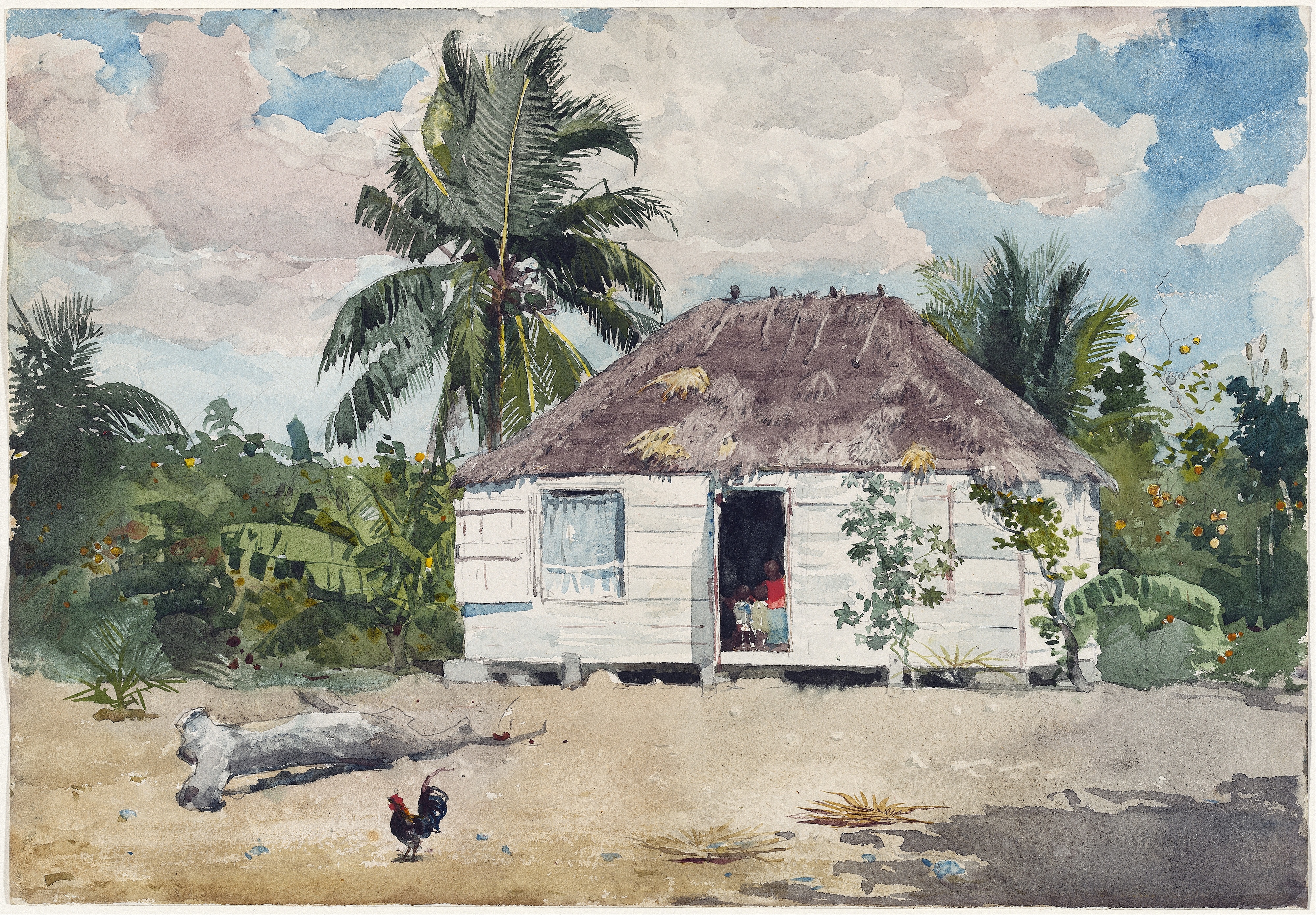 《拿骚本地小屋》（native hut at nassau）｜温斯洛·霍默 Winslow Homer｜1885