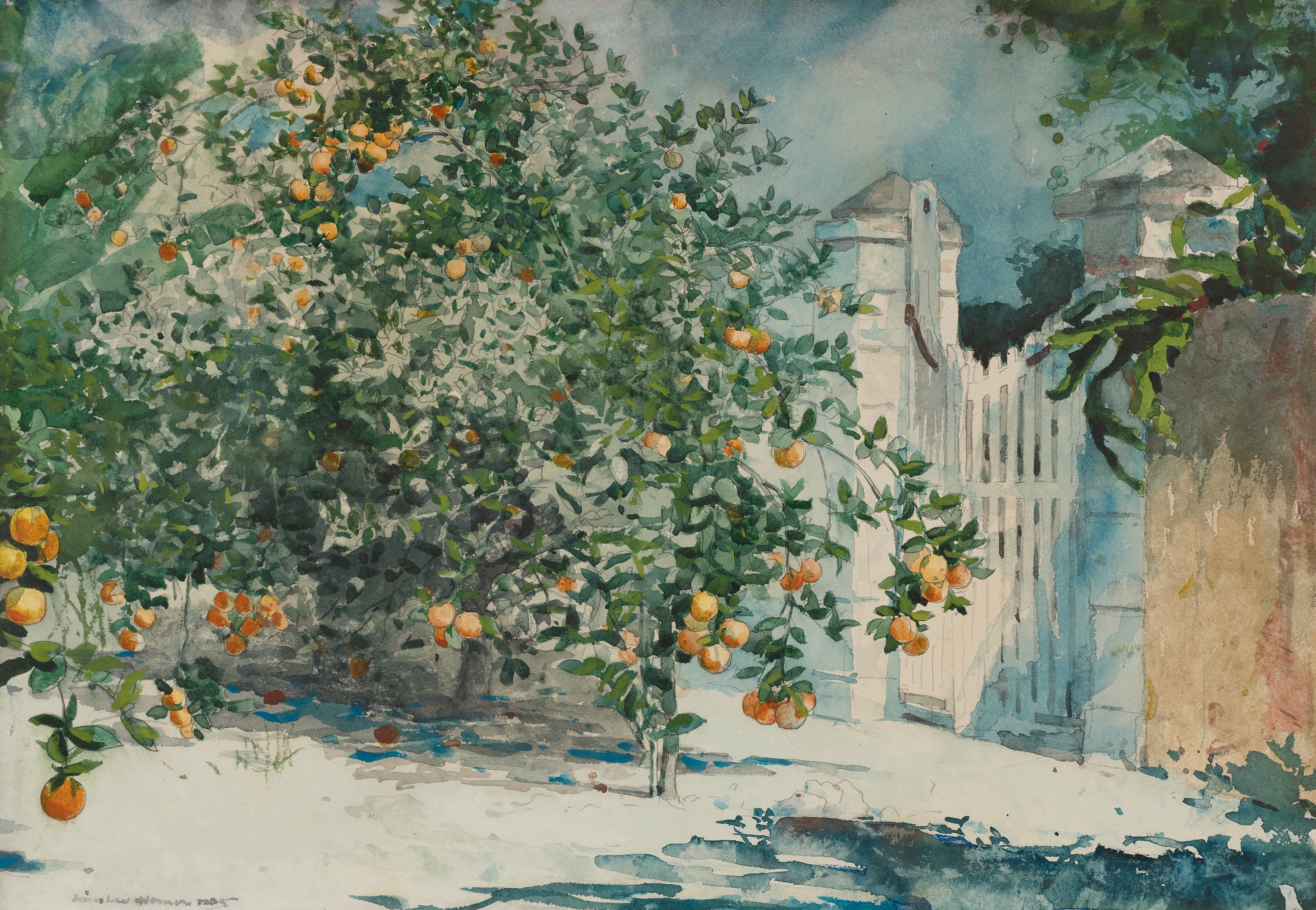《橘子树和门》（orange trees and gate）｜温斯洛·霍默 Winslow Homer｜1885