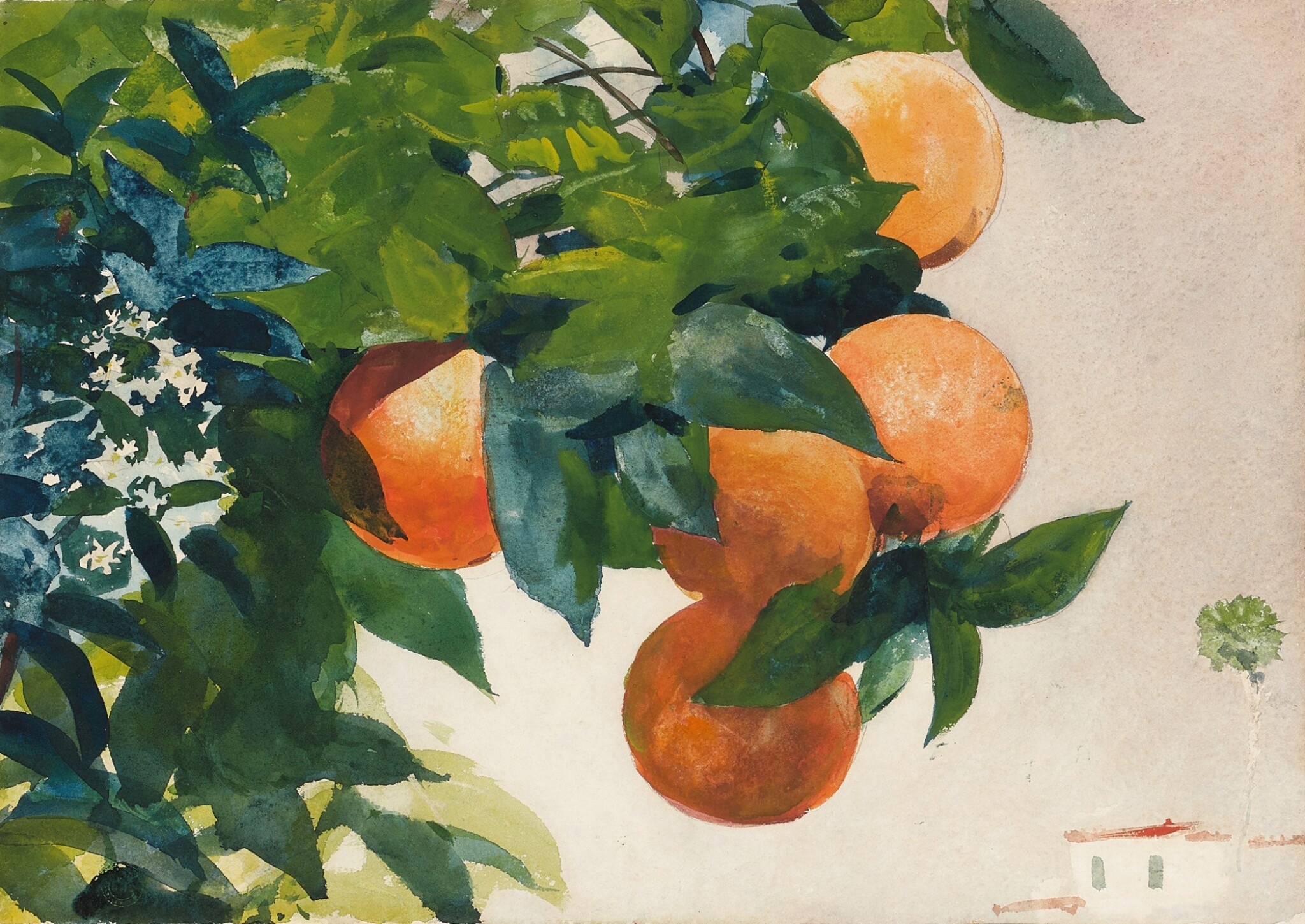 《树枝上的橘子》（oranges on a branch）｜温斯洛·霍默 Winslow Homer｜1885