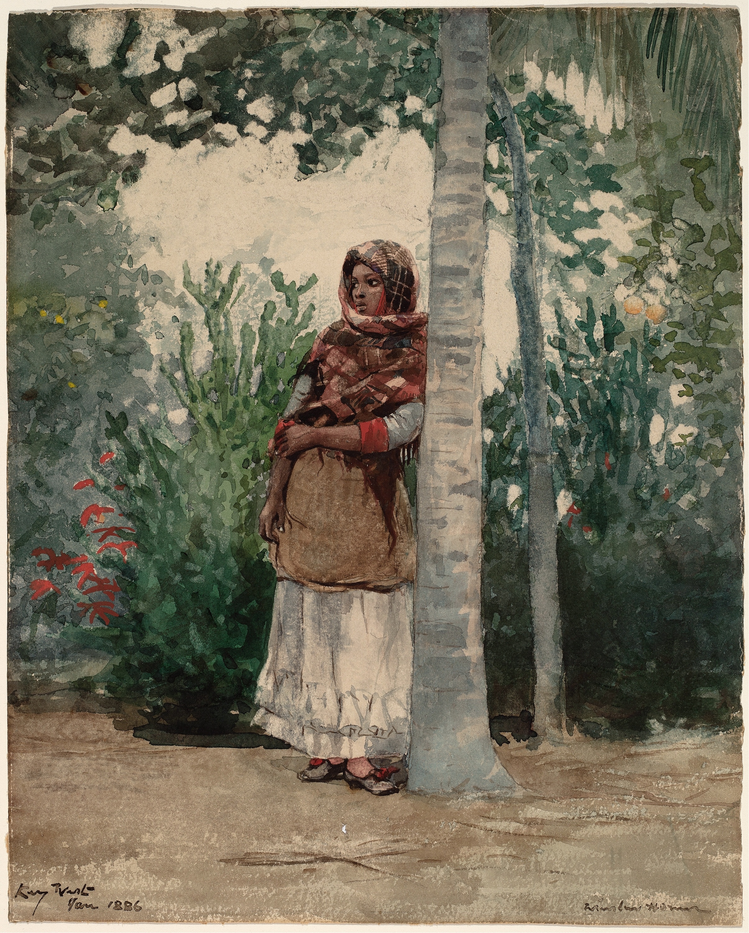 《在棕榈树下》（under a palm tree）｜温斯洛·霍默 Winslow Homer｜1886