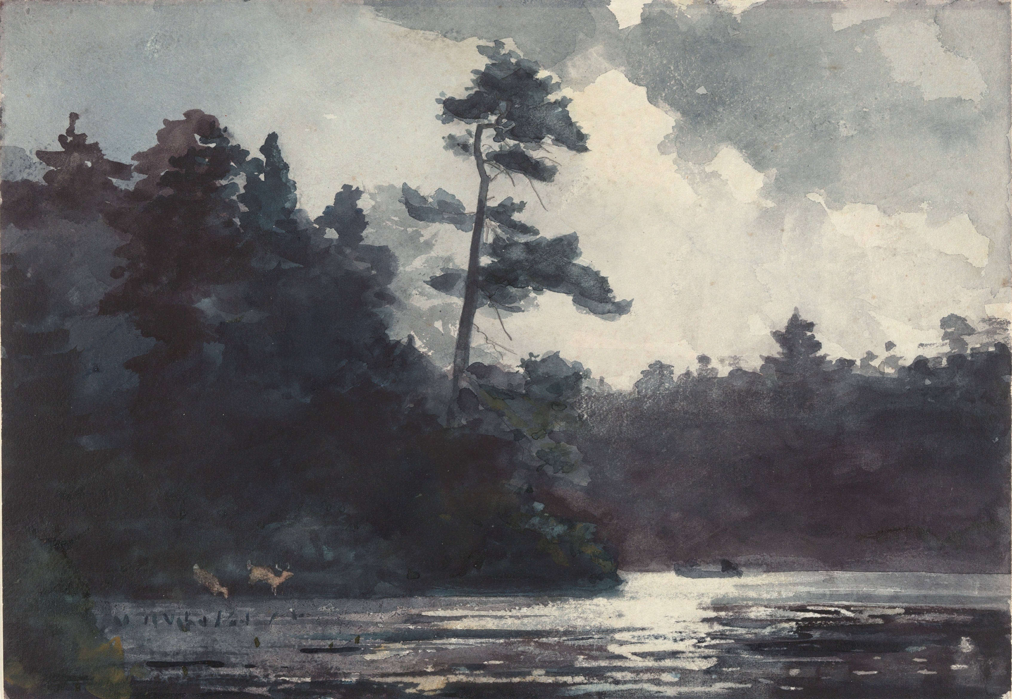 《阿迪朗达克湖》（adirondack lake）｜温斯洛·霍默 Winslow Homer｜1889