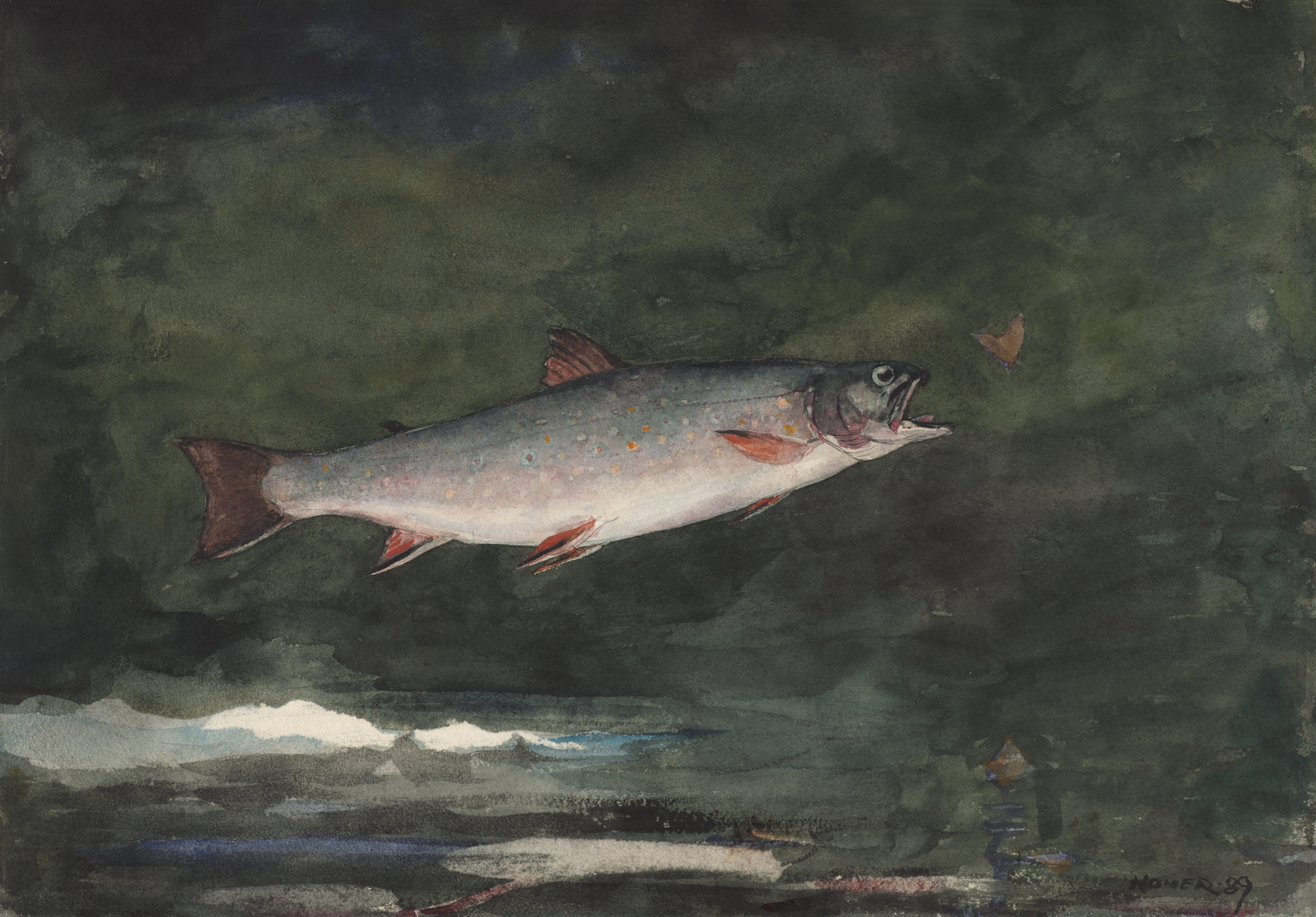《跳跃鳟鱼》（leaping trout）｜温斯洛·霍默 Winslow Homer｜1889