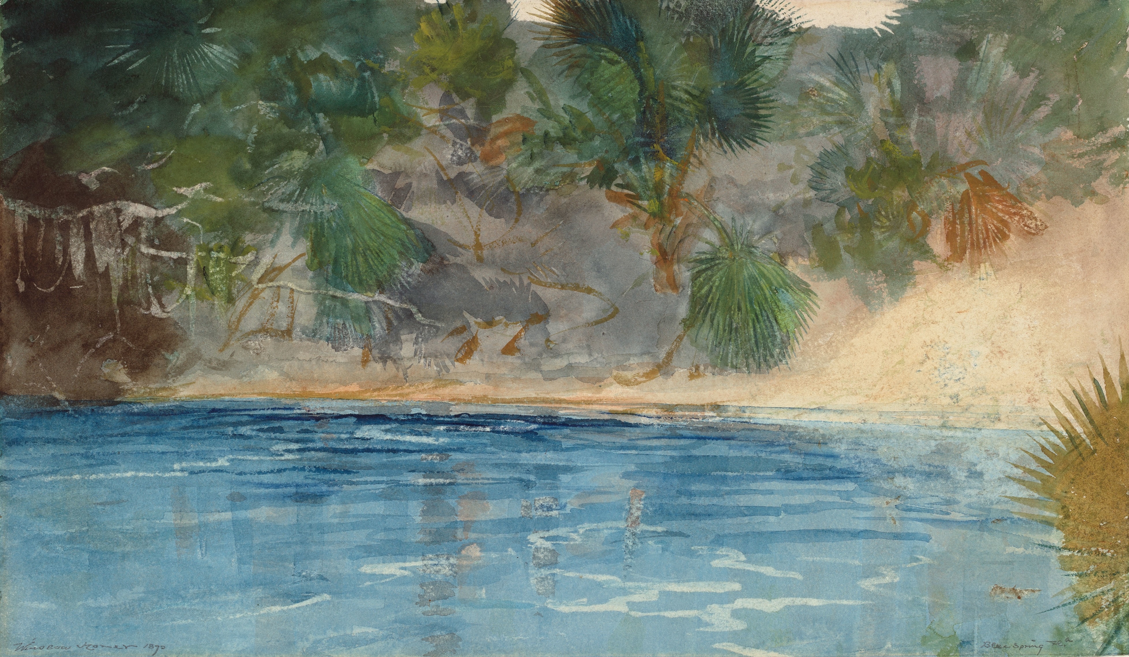 《佛罗里达州蓝泉》（blue spring florida）｜温斯洛·霍默 Winslow Homer｜1890