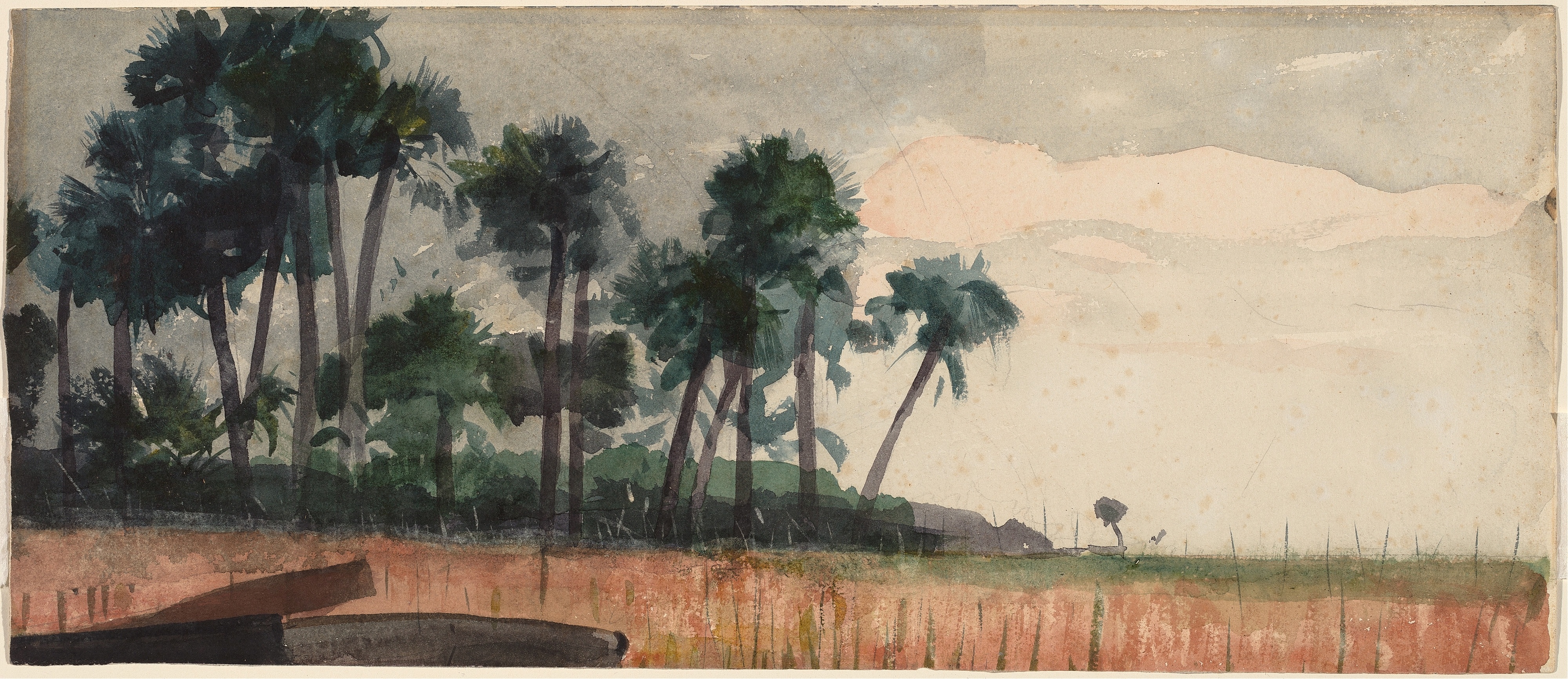 《棕榈树红色》（palm trees red）｜温斯洛·霍默 Winslow Homer｜1890