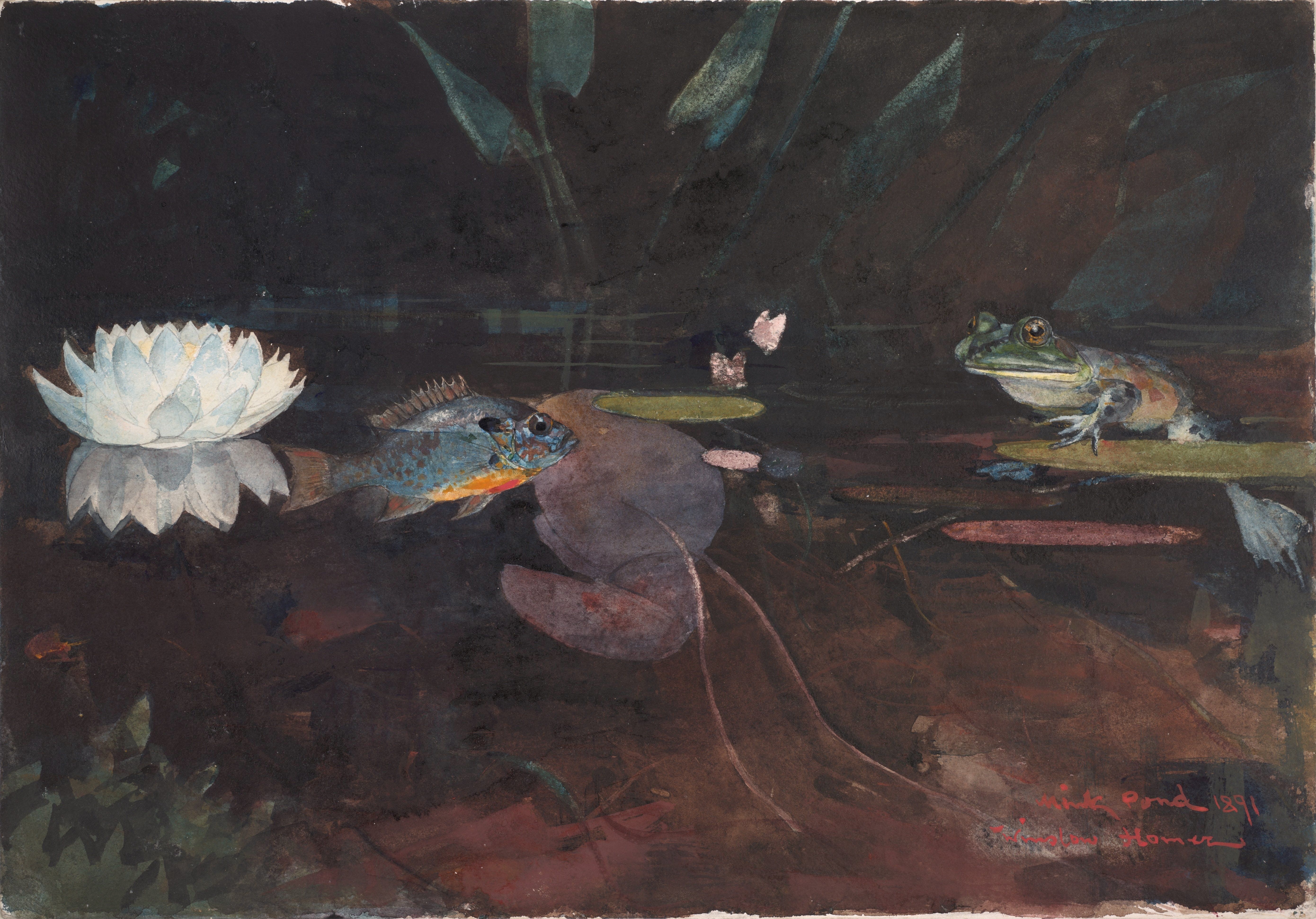 《水貂池塘》（mink pond）｜温斯洛·霍默 Winslow Homer｜1891