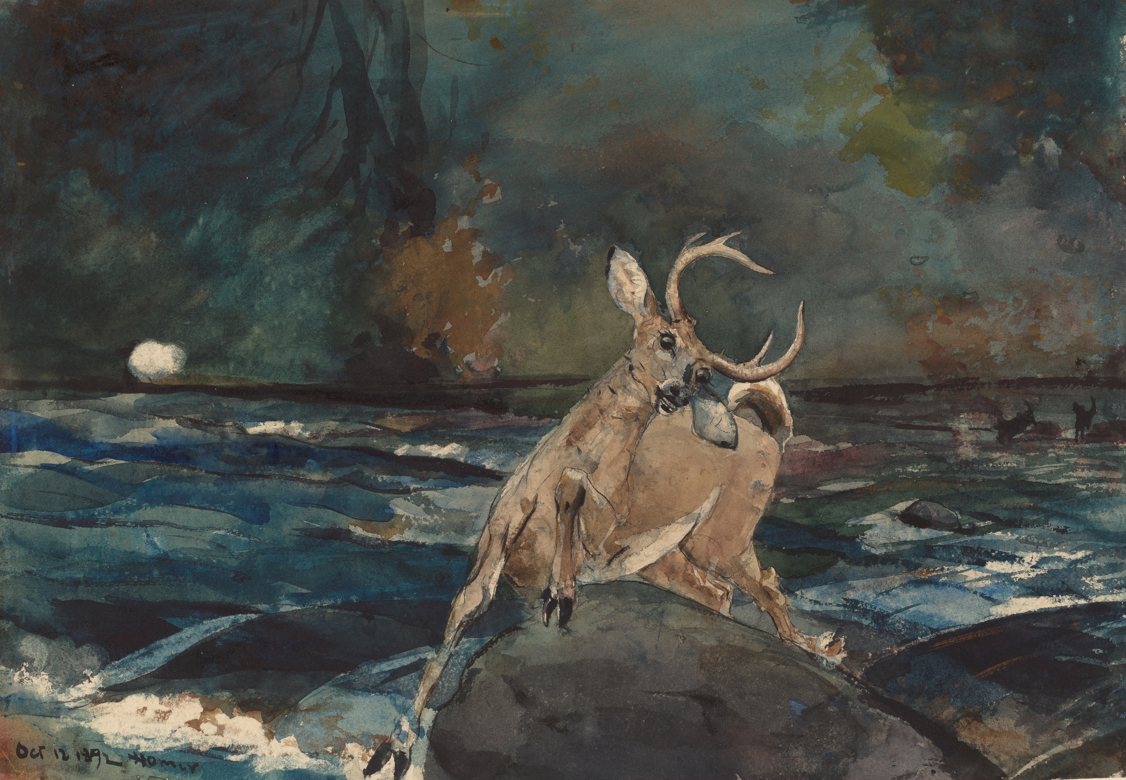 《阿迪朗达克好球》（a good shot adirondacks）｜温斯洛·霍默 Winslow Homer｜1892