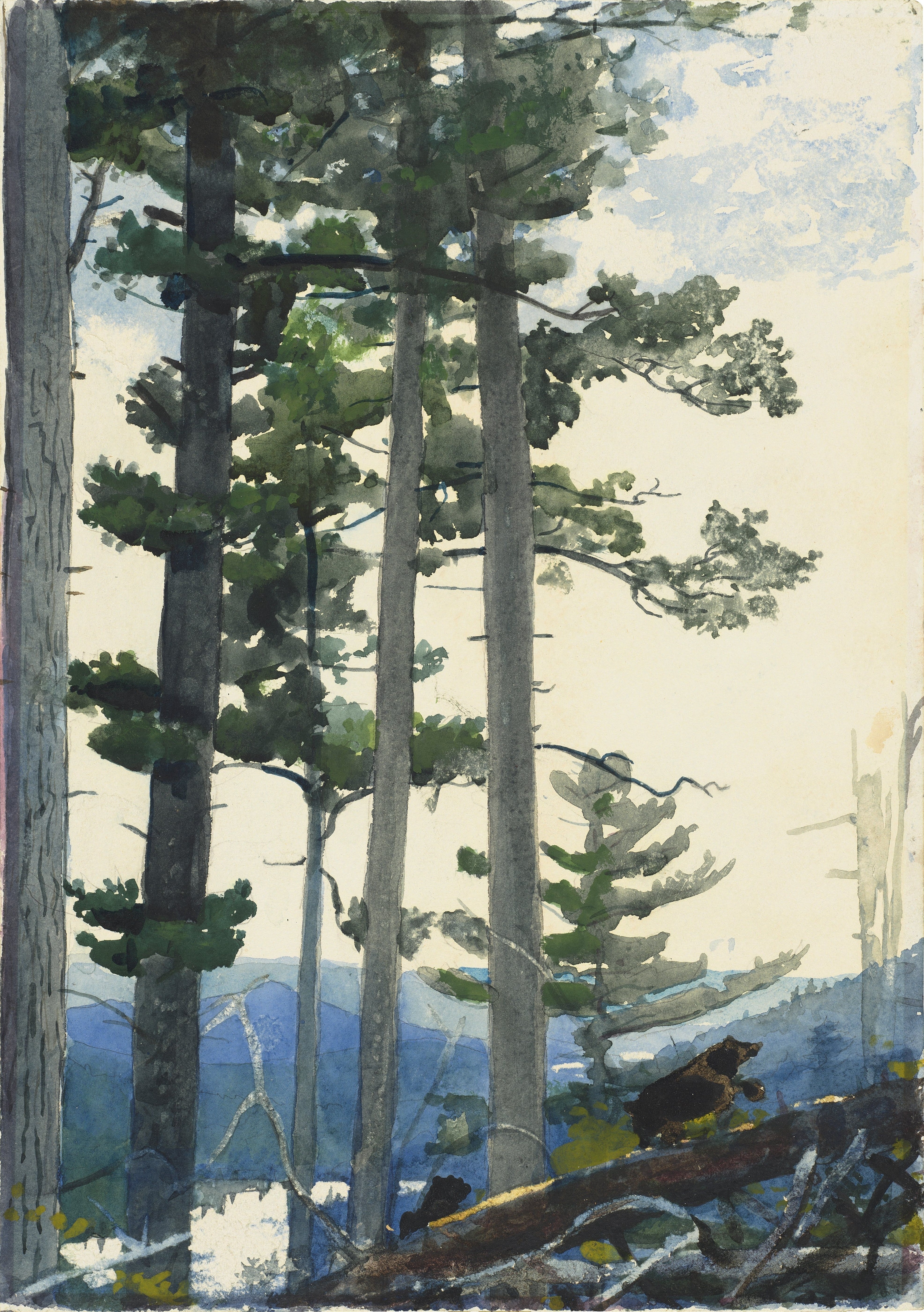 《老定居者》（old settlers）｜温斯洛·霍默 Winslow Homer｜1892