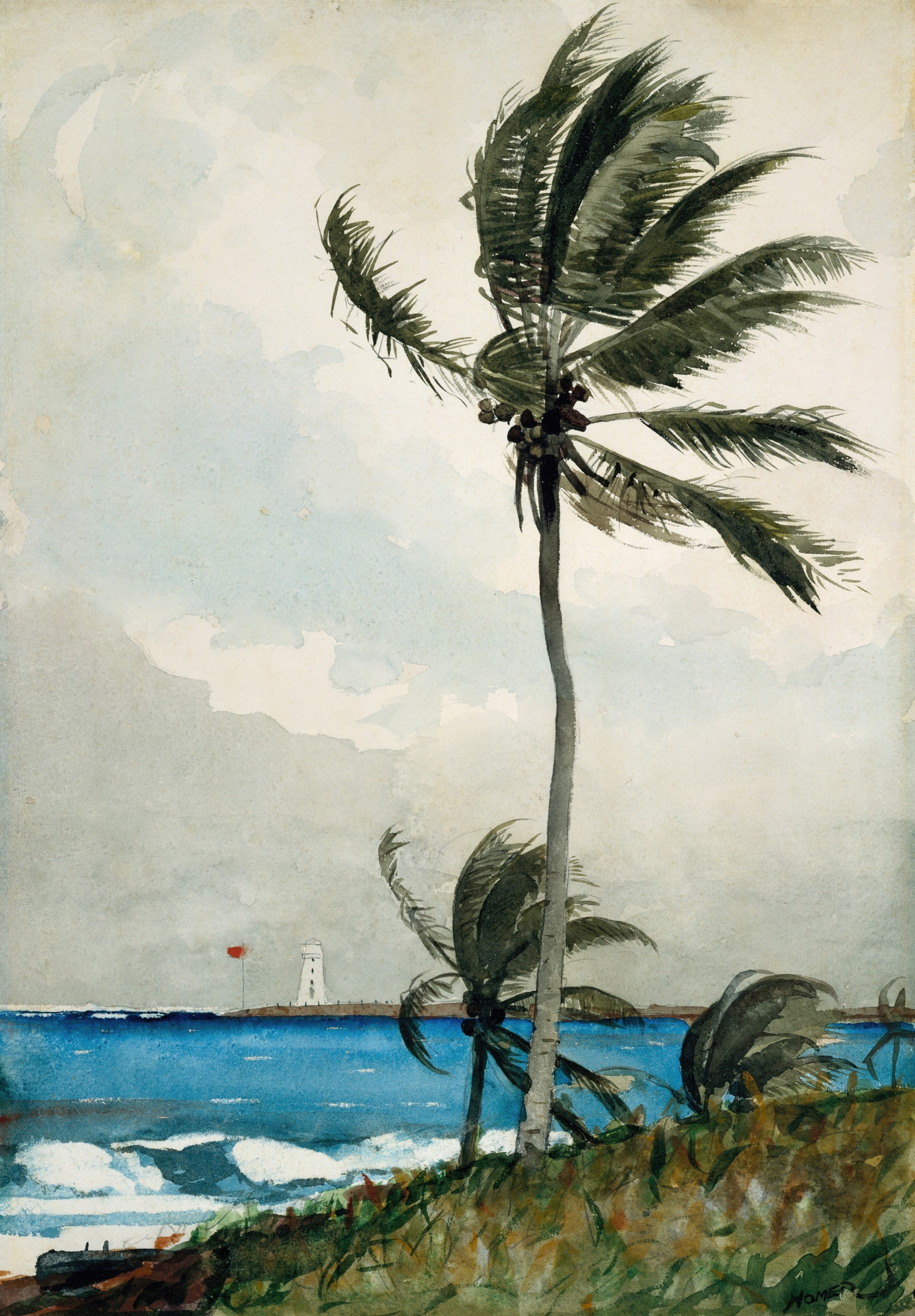 《棕榈树 拿骚》（palm tree nassau）｜温斯洛·霍默 Winslow Homer｜1898