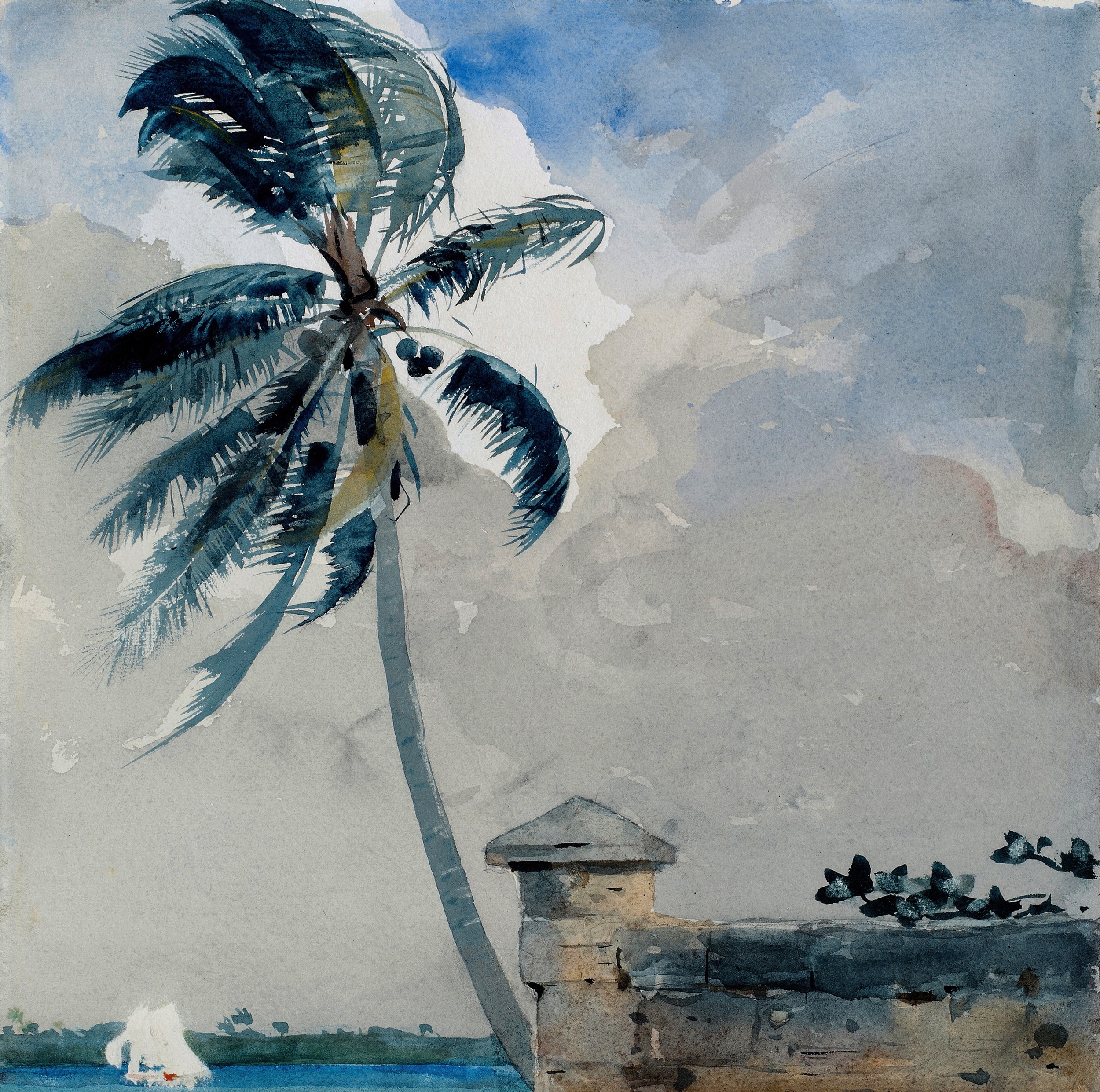 《棕榈树和石墙》（palm trees and stone wall）｜温斯洛·霍默 Winslow Homer｜1898