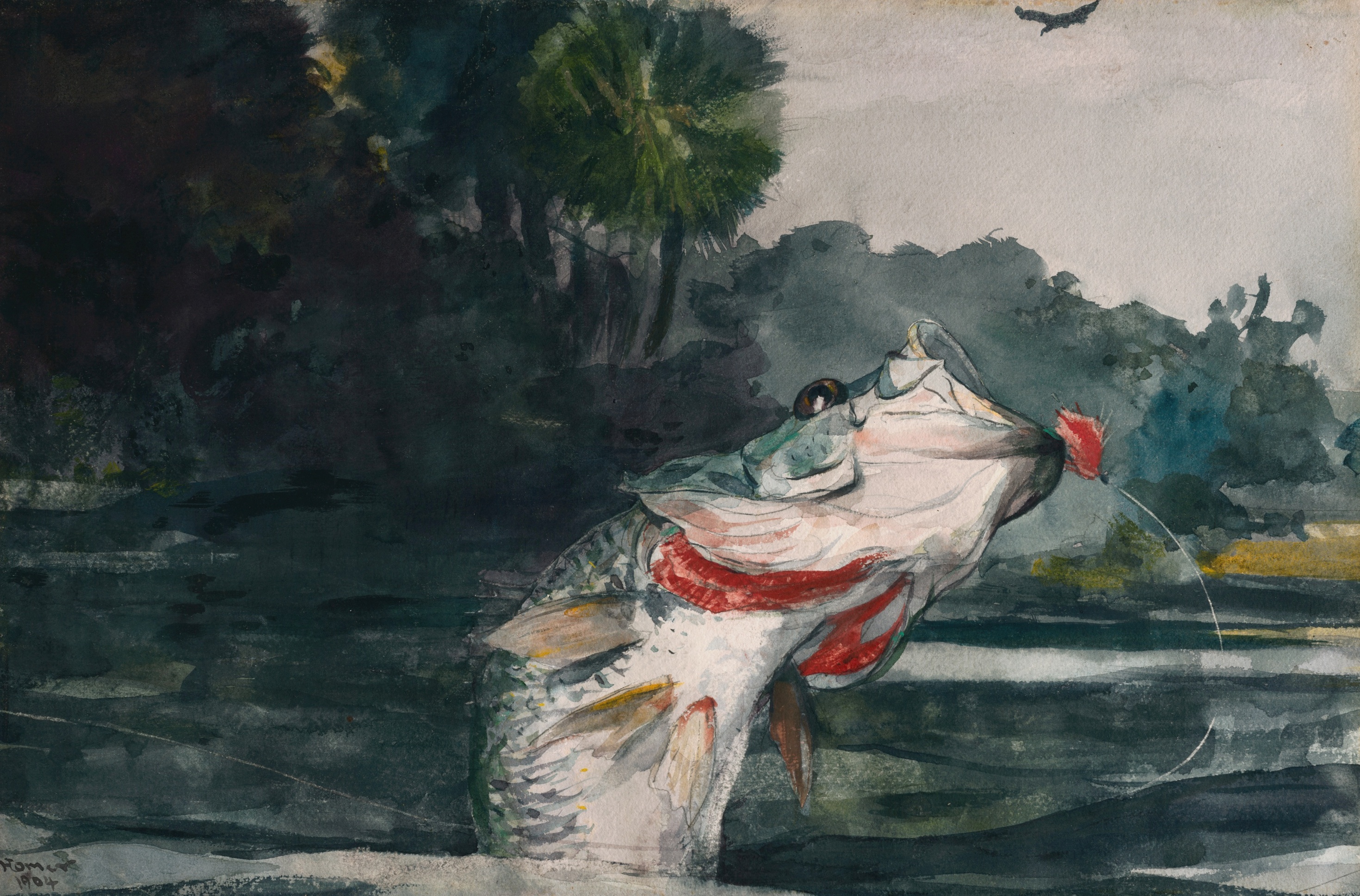 《真人大小的黑鲈》（life size black bass）｜温斯洛·霍默 Winslow Homer｜1904